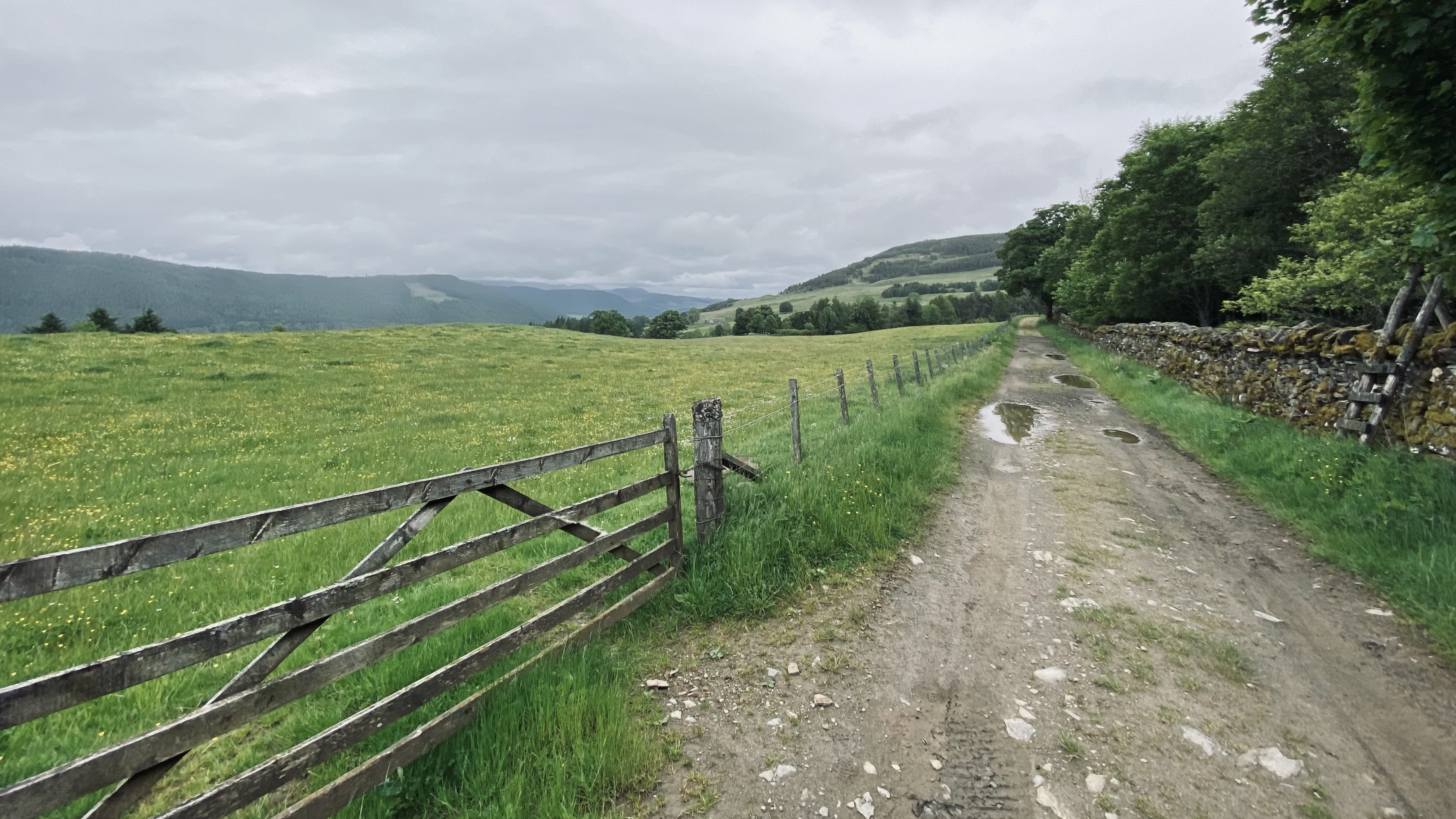 Gravel farm track with puddles on the Rob Roy Way in Scotland, bordered by a stone wall and wooden gate, overlooking rolling green hills and meadows.