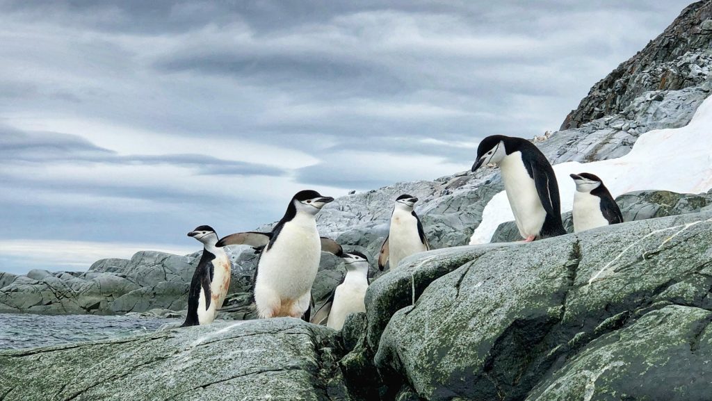 Antarctica Journey