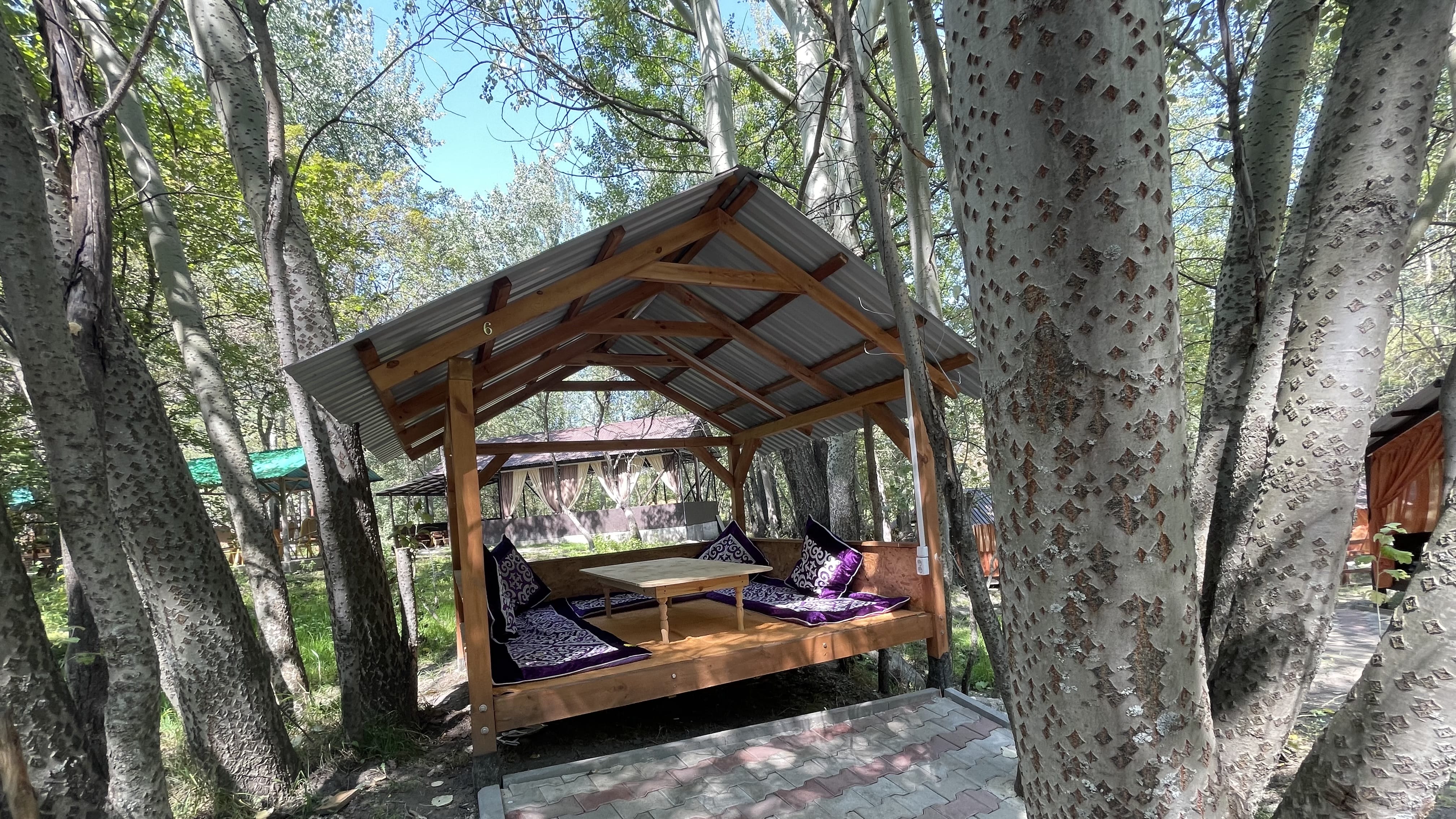 Wooden outdoor gazebo with low table and purple cushions set among tall trees near Almaty during a 2 days in Almaty visit.