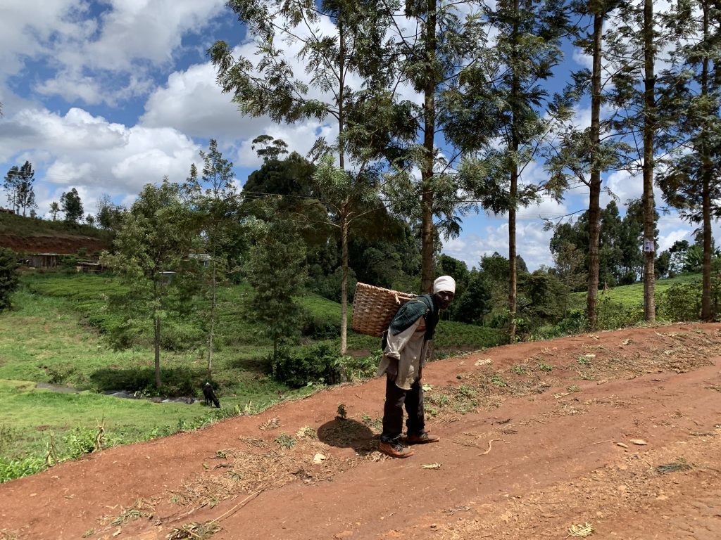 Man carrying a woven basket on his back along a red dirt road near Mount Kenya.