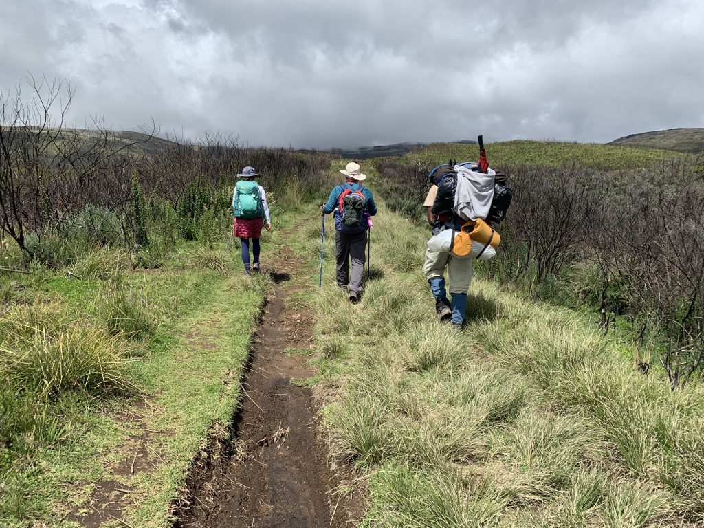 Trekkers and guide hiking through moorland toward Nithi Camp on Mount Kenya trek.