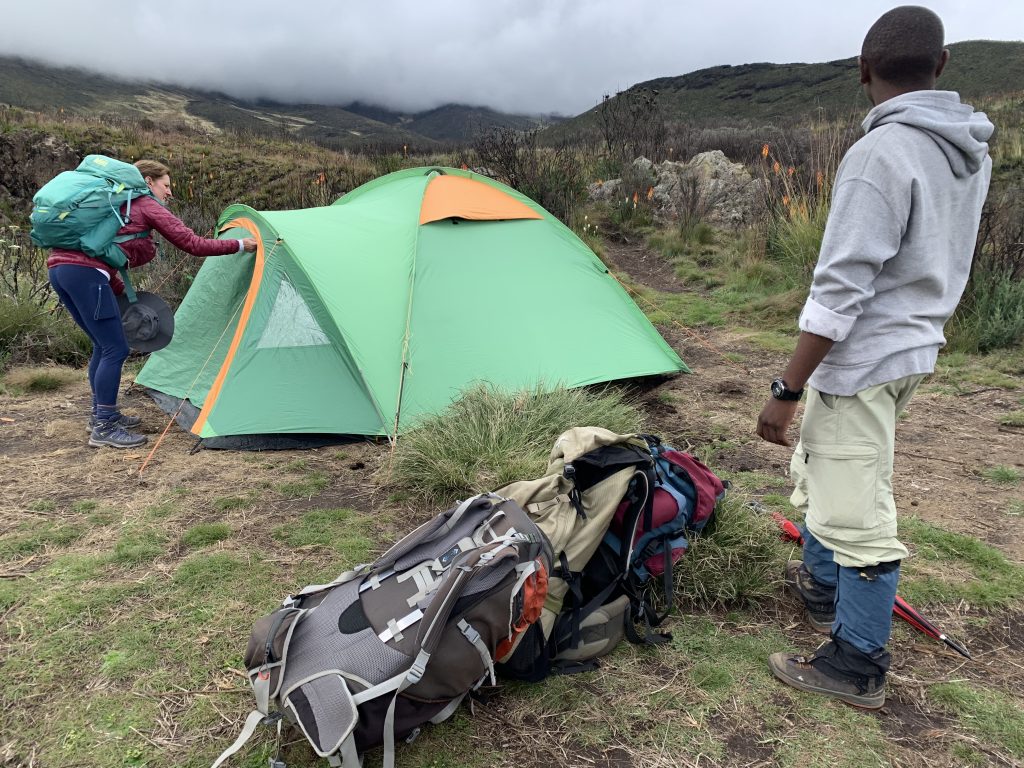 Tent set up at Nithi Camp on Mount Kenya trek.