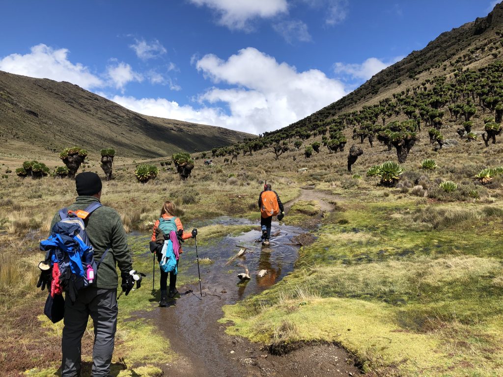 Mount Kenya hiking