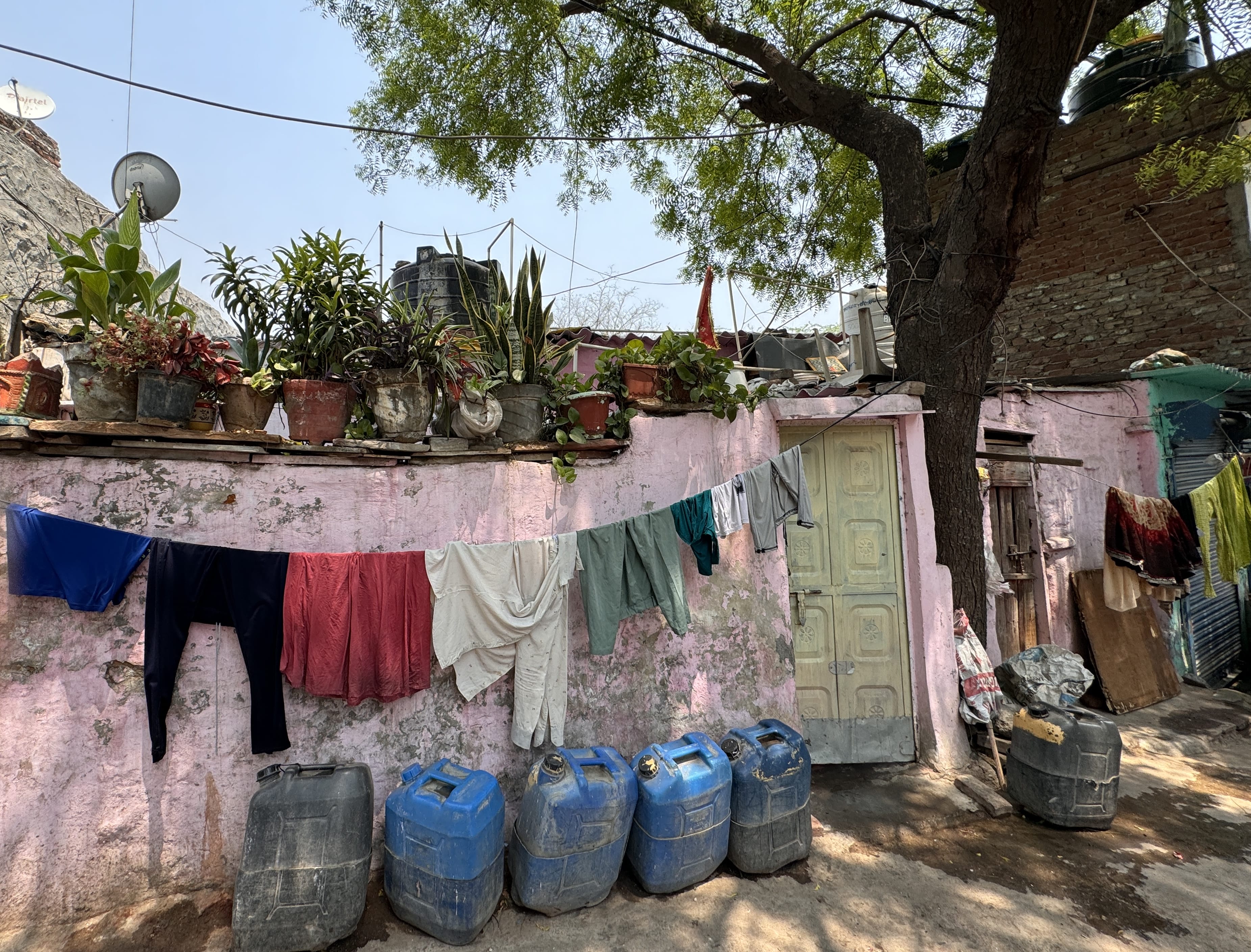 A pink wall with potted plants and a clothesline full of drying laundry in a residential area of Delhi.