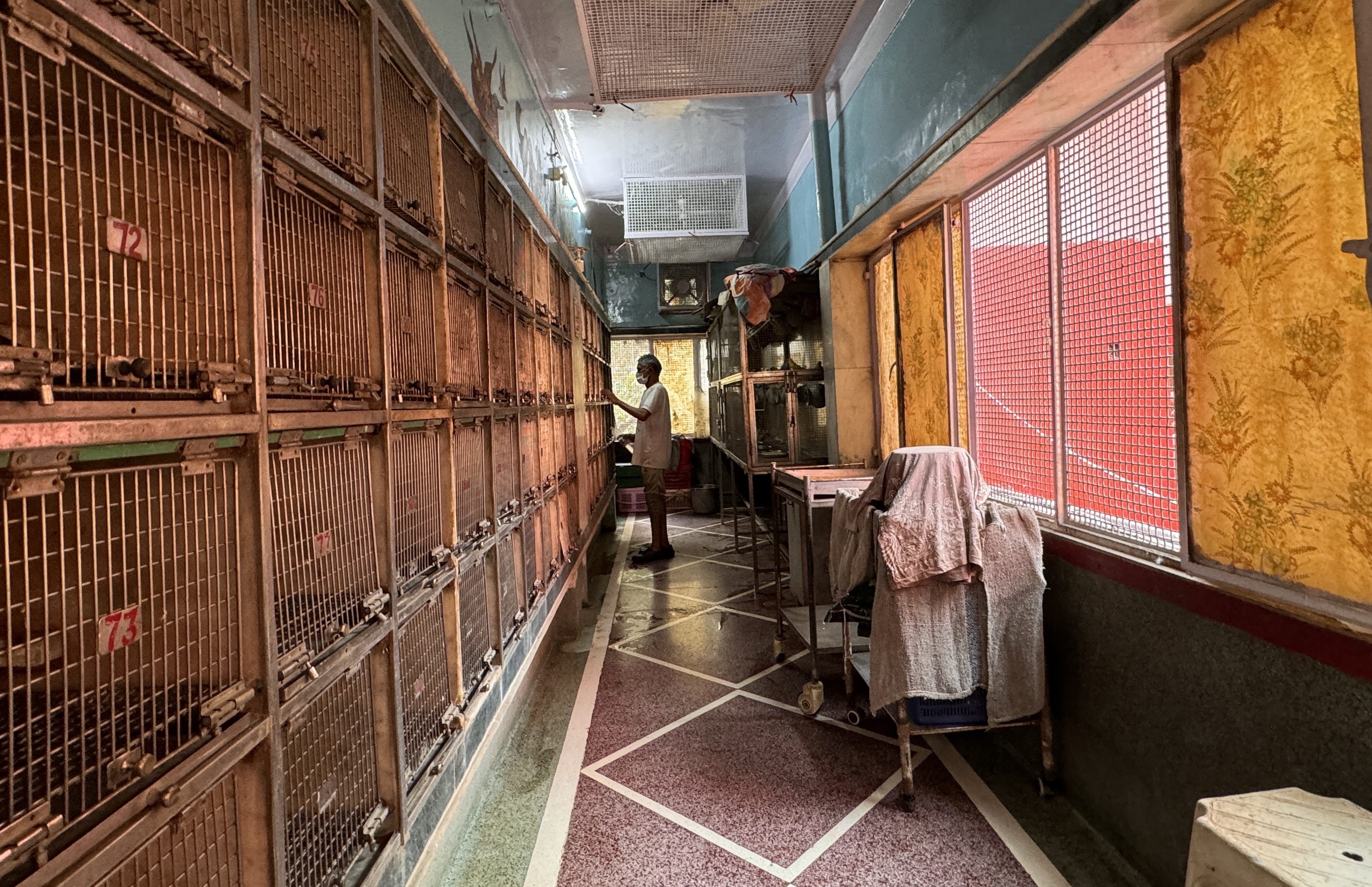 Long corridor lined with small bird cages, each labeled with numbers, inside a bird hospital in Old Delhi.
