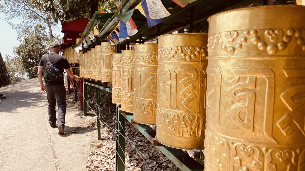 A man walks along a path lined with large golden Tibetan prayer wheels, gently spinning them as he passes.