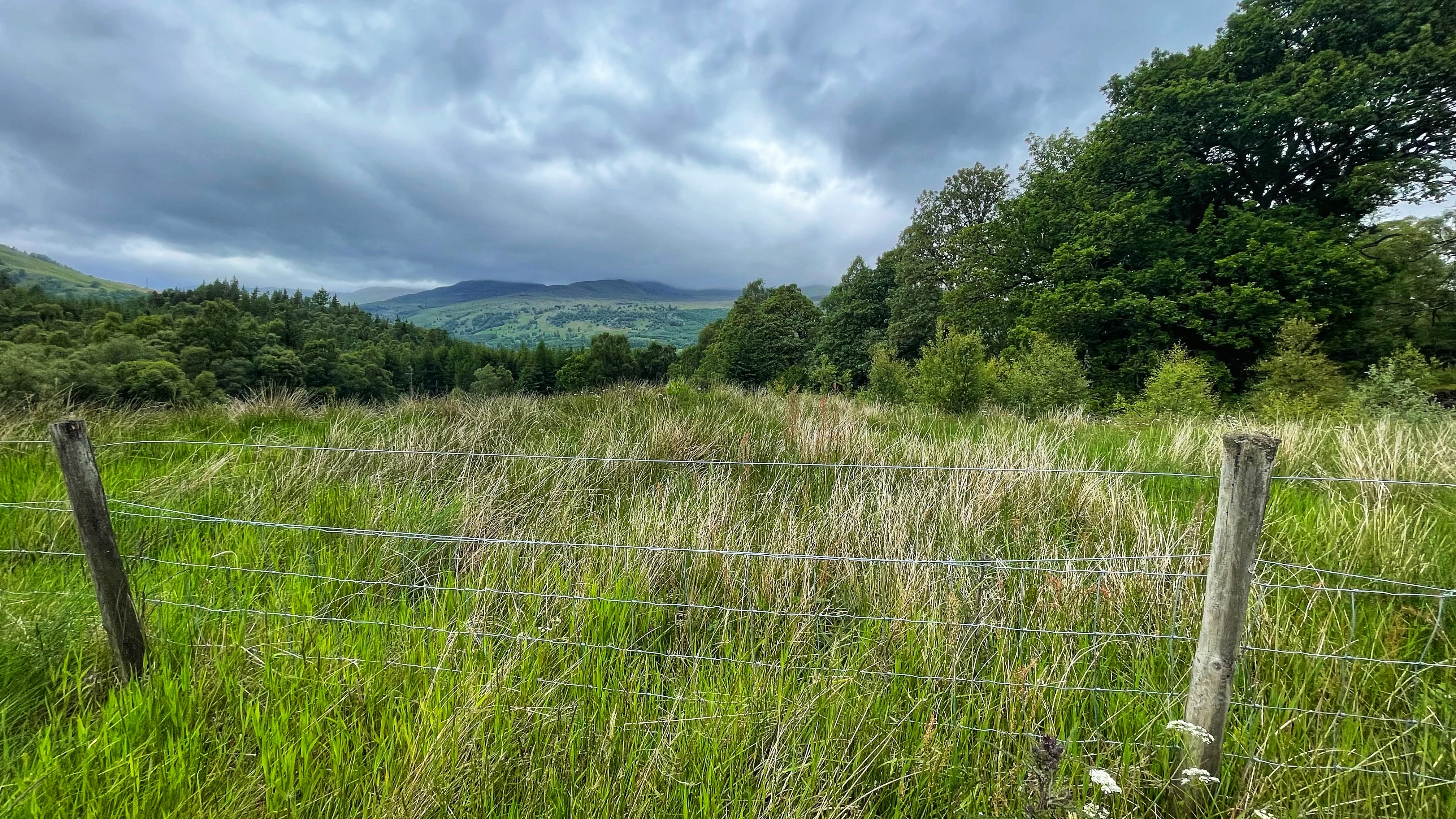 A grassy field with a wire fence in the foreground, leading to a forested hillside under dark clouds in the Scottish countryside.