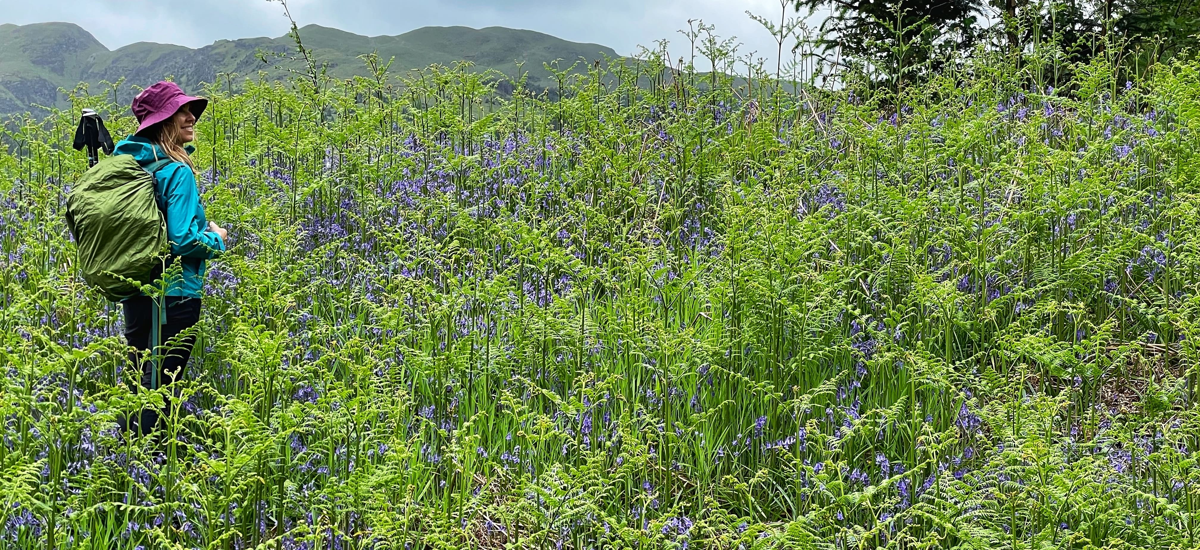 Hiking the Roy Roy Way