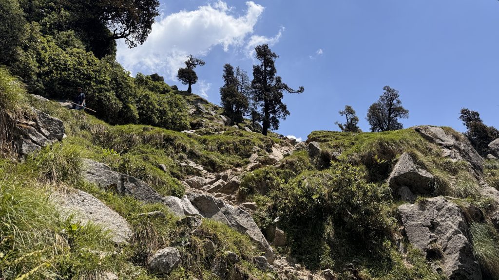 Rocky uphill switchbacks on the Triund trail with grassy slopes and silhouetted trees under a sunny sky.