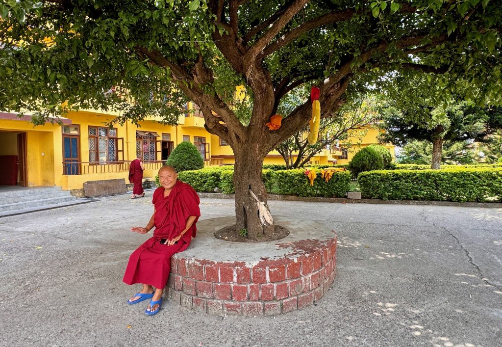 A smiling monk in red robes sits under a tree on the monastery grounds, surrounded by greenery and yellow buildings.