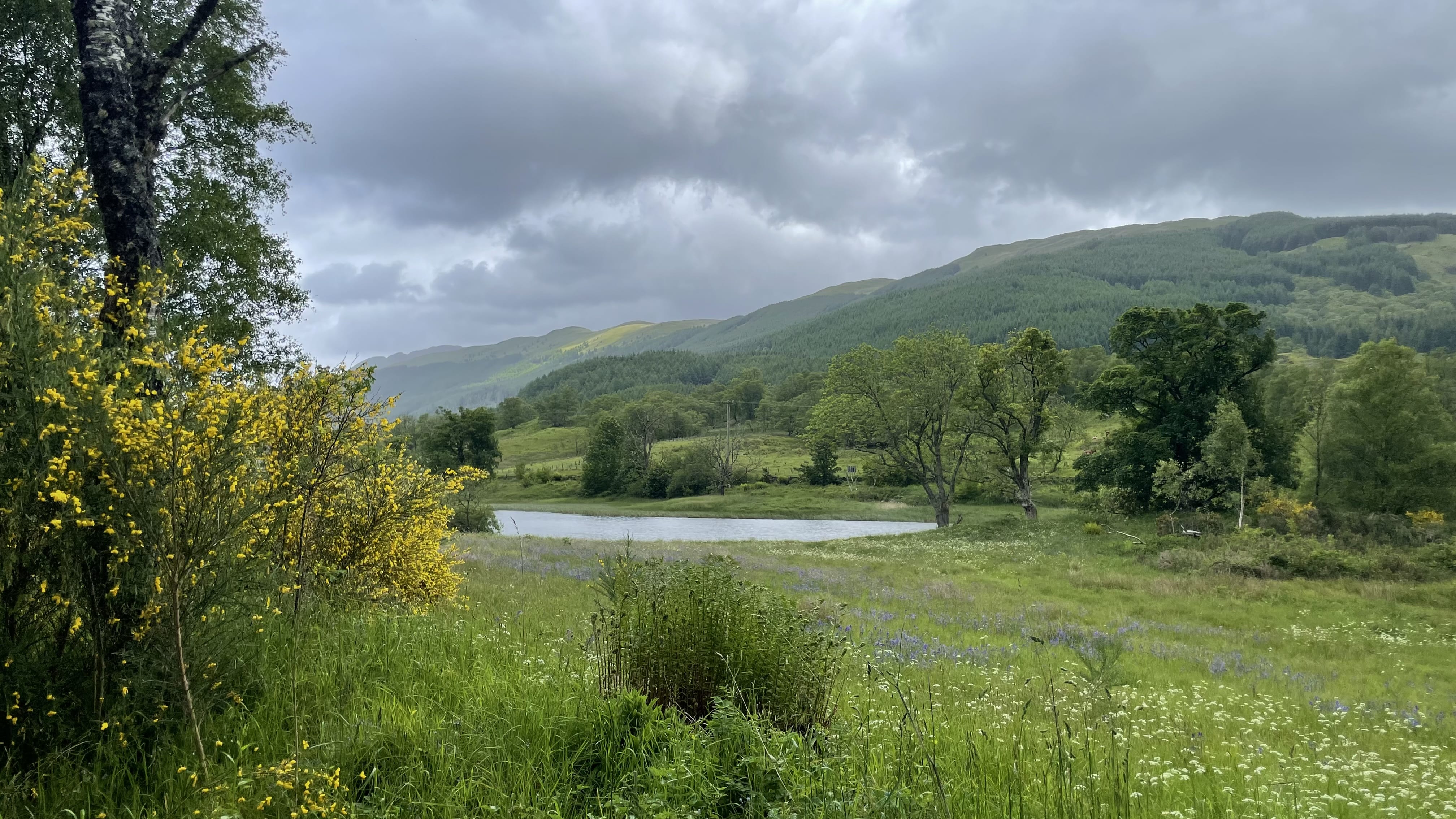 View of a grassy field with wildflowers, a small pond, and green hills under a cloudy sky along the Rob Roy Way.