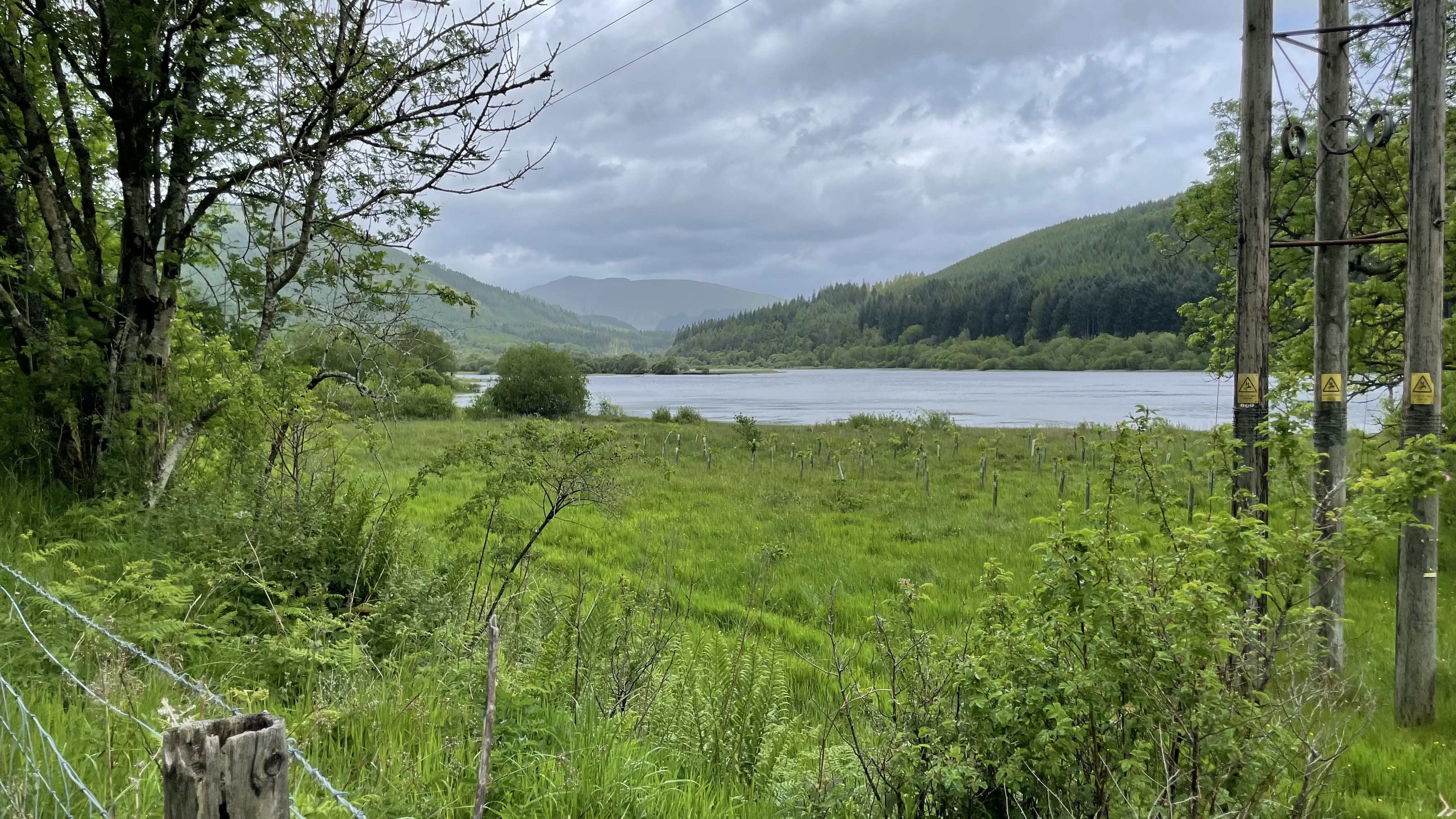 View of Loch Lubnaig surrounded by green hills and forest under a cloudy sky, with a barbed wire fence and wooden poles in the foreground.