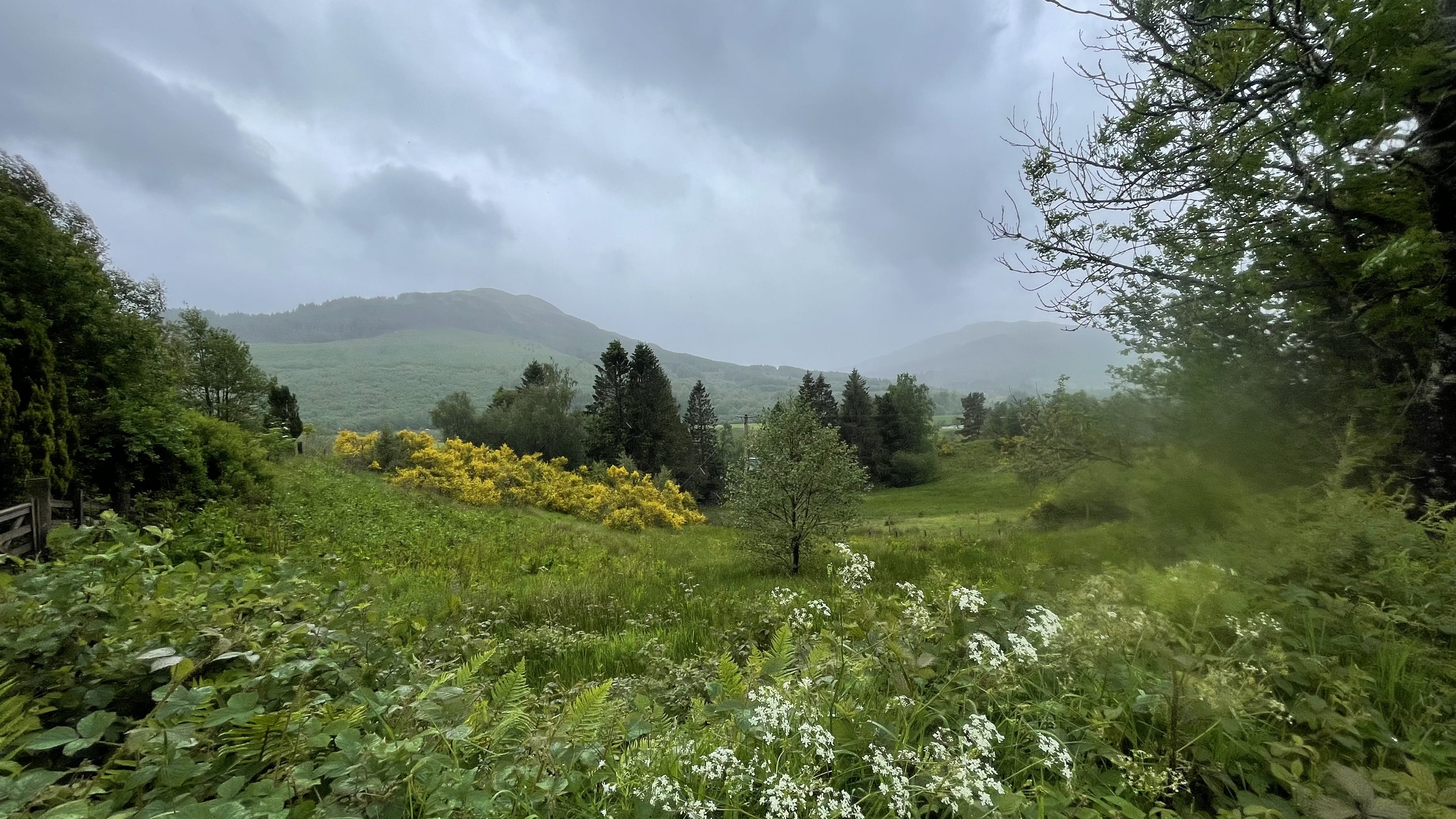 Misty view of a green hillside while hking the Roy Roy Way, Scotland