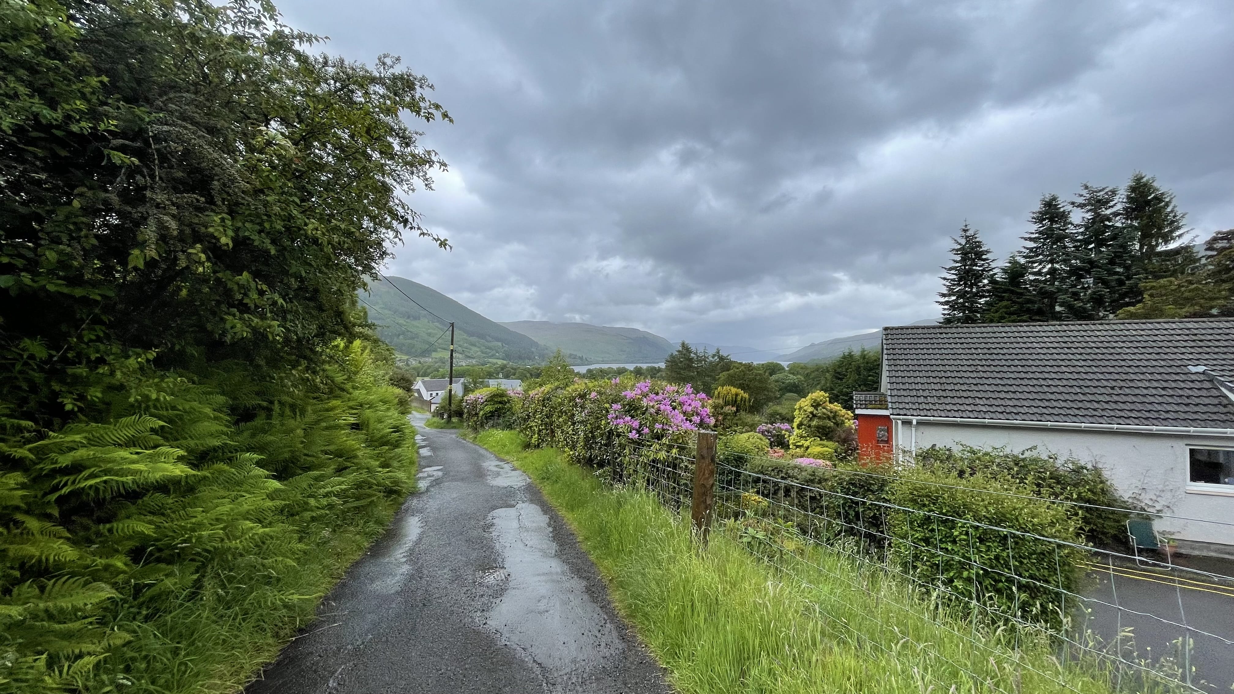 Narrow paved lane lined with ferns and flowering hedges, with distant hills and cloudy sky in the background.