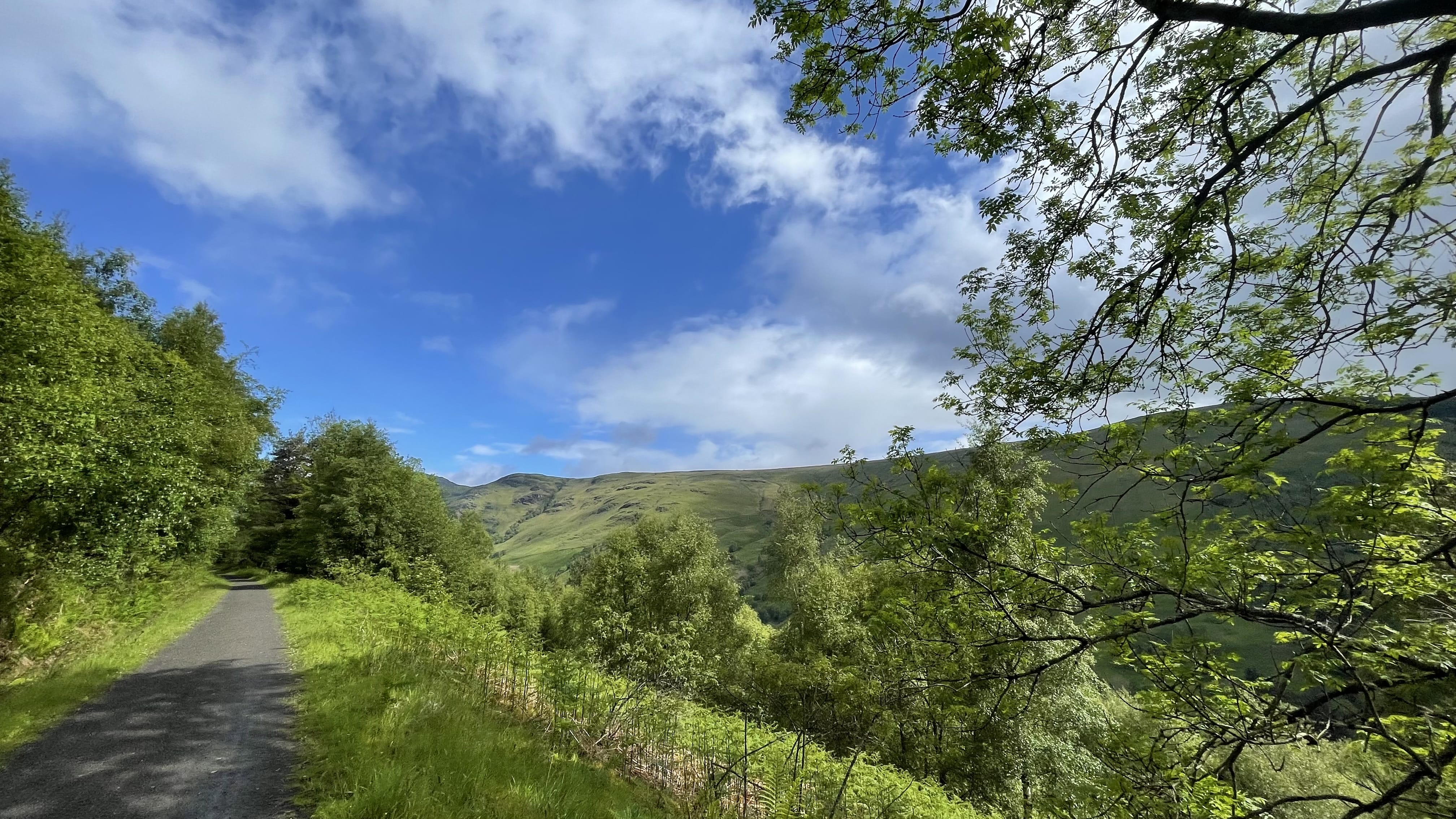 A paved walking trail winding through green forest with blue skies and sunshine above rolling hills while hiking the Roy Roy Way, Scotland