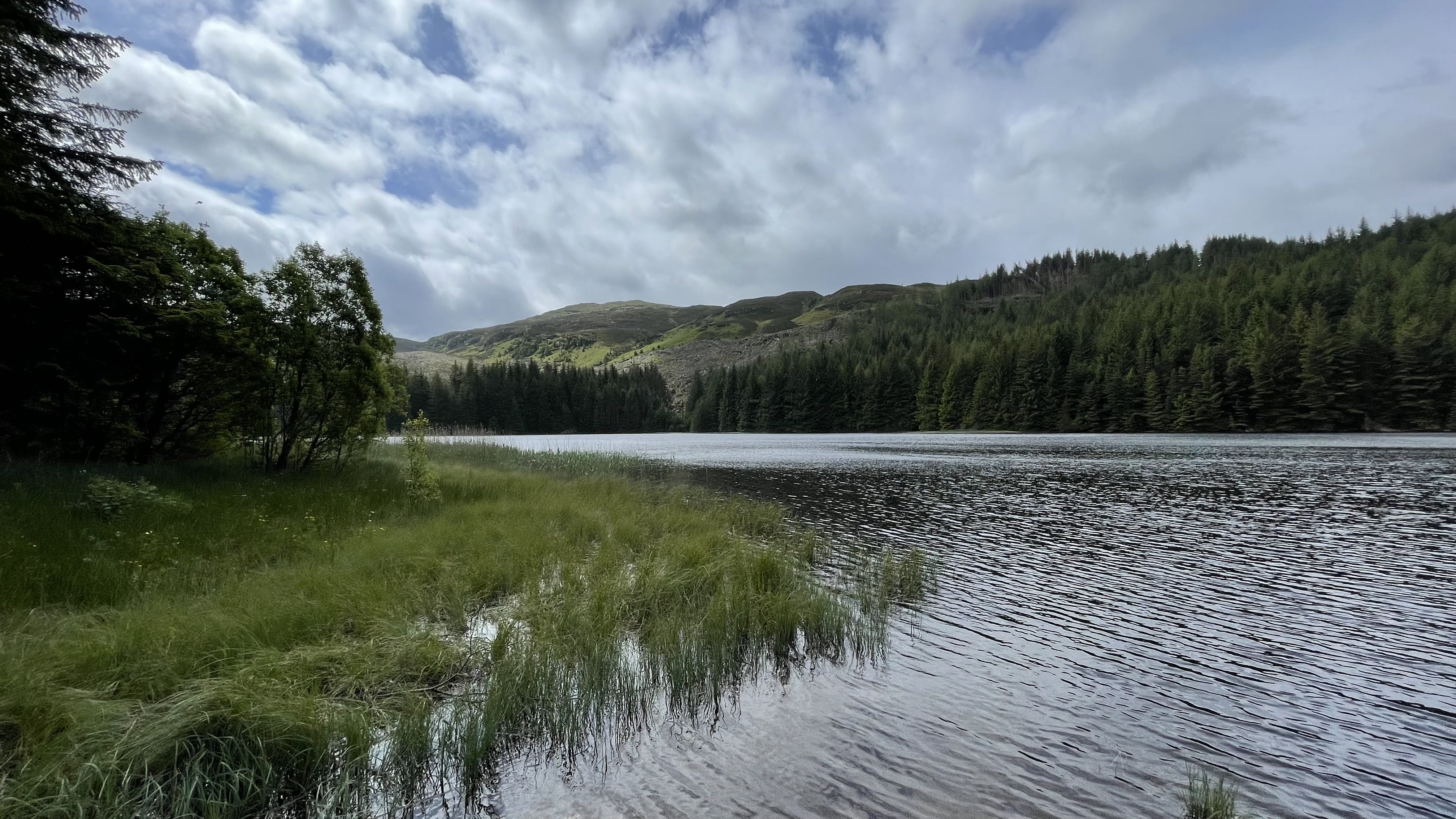 A quiet view of Loch Lairig Cheilewith wind-ruffled water in the foreground, pine trees along the opposite shore, and gentle hills rising under a partly cloudy sky.
