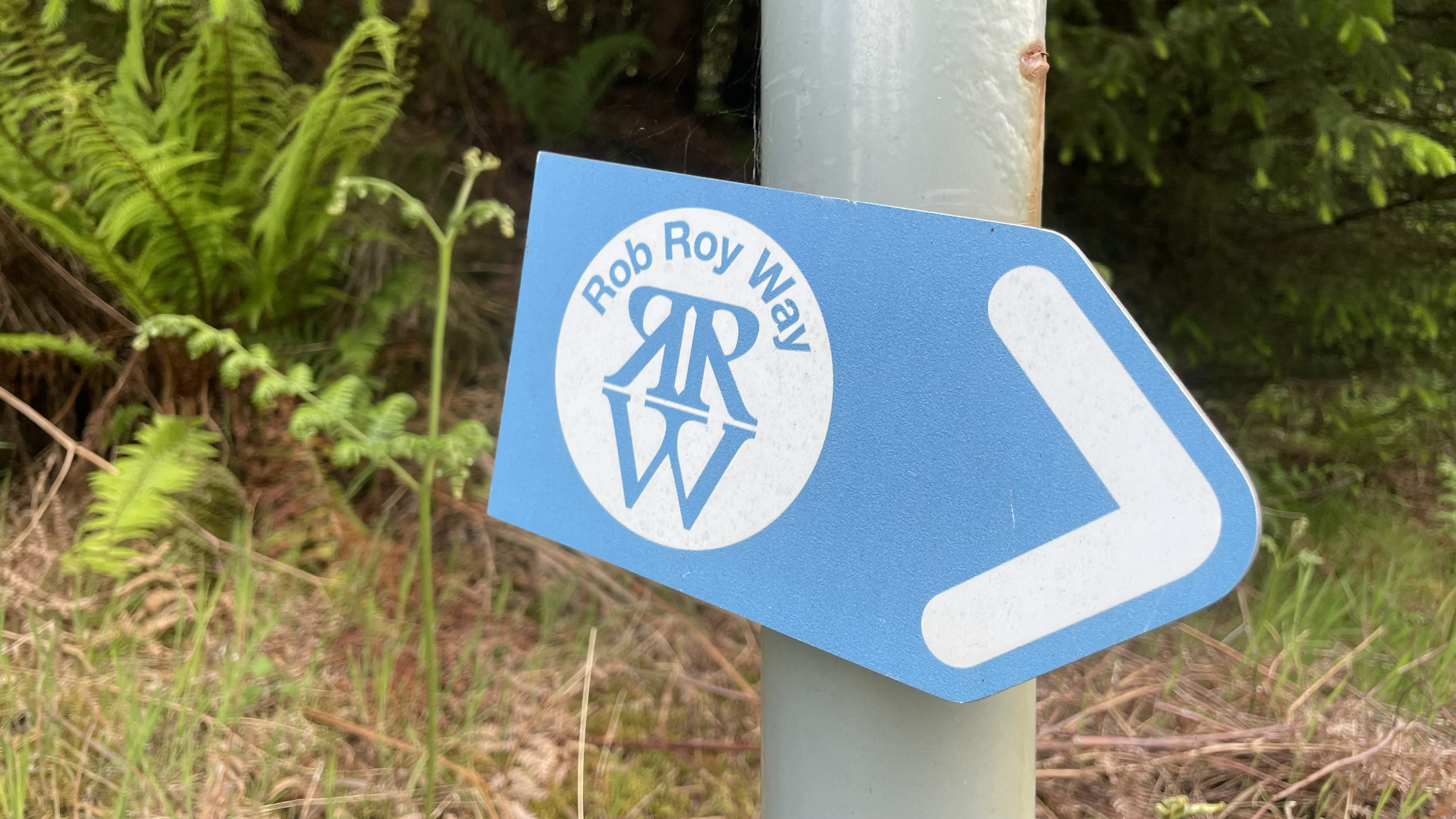 Hiking the Roy Roy Way, Scotland