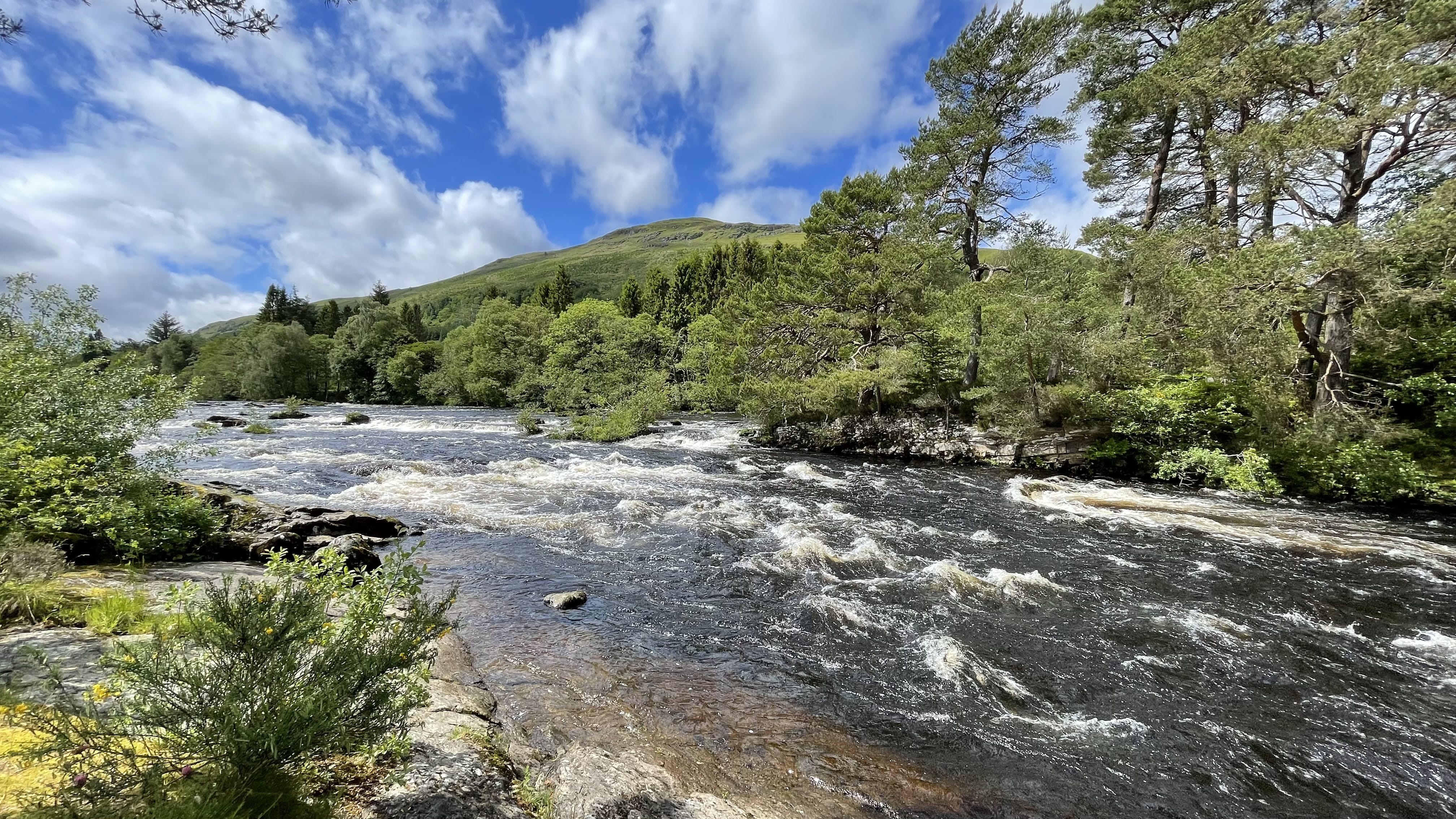 Fast-moving river with white water rapids flowing through a forested landscape, surrounded by lush greenery and backed by rolling hills under a partly cloudy blue sky.