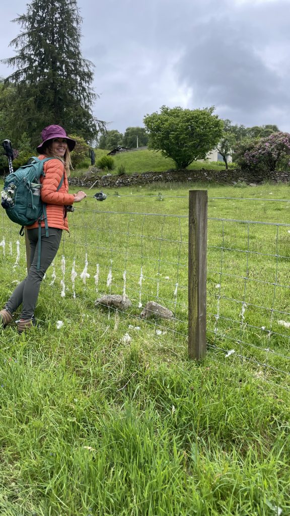 A smiling hiker in an orange jacket and purple hat pauses next to a wire fence strung with tufts of sheep’s wool, standing in a green grassy field with trees and stone walls in the background.