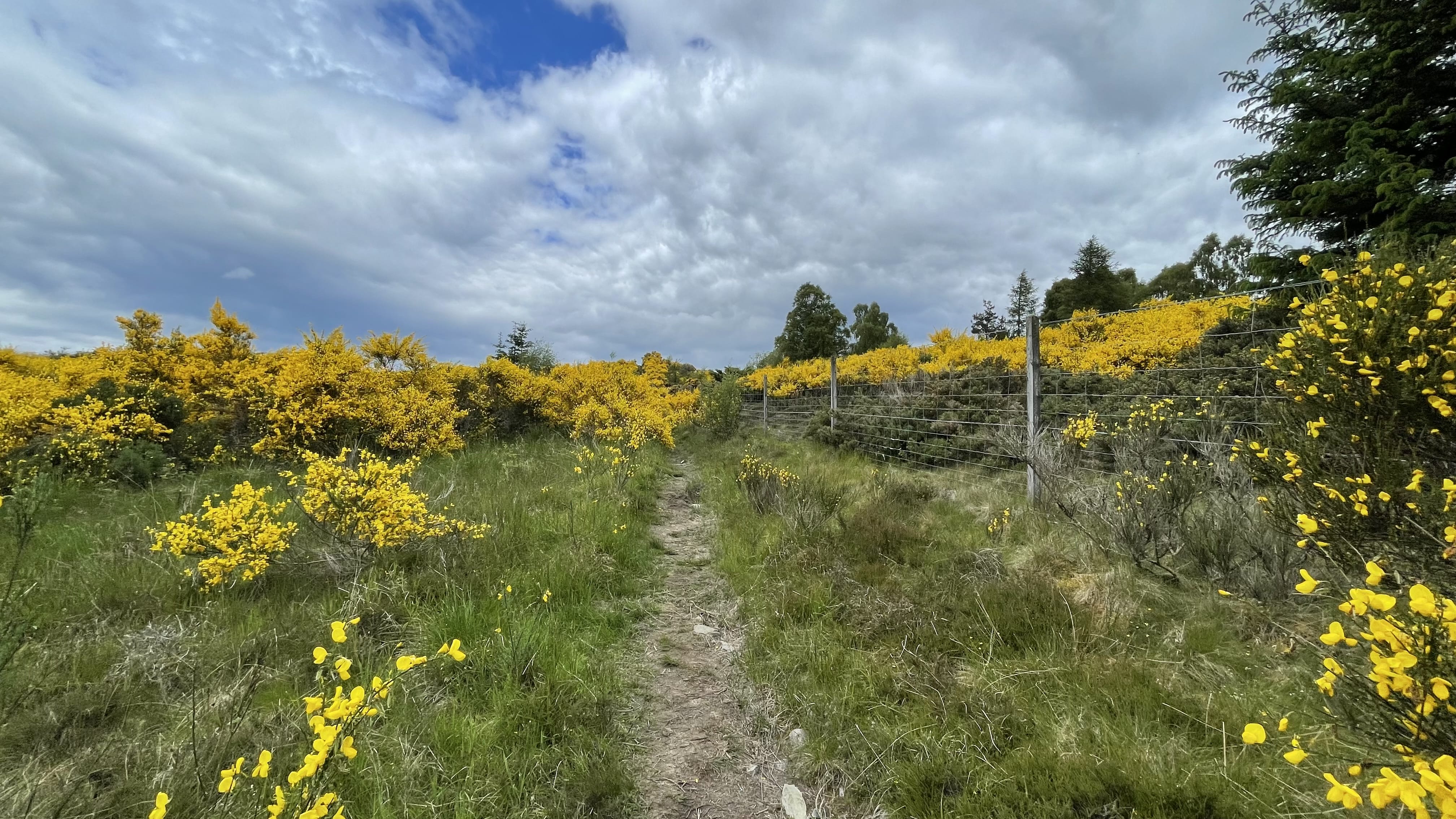 Hiking the Rob Roy Way, Scotland