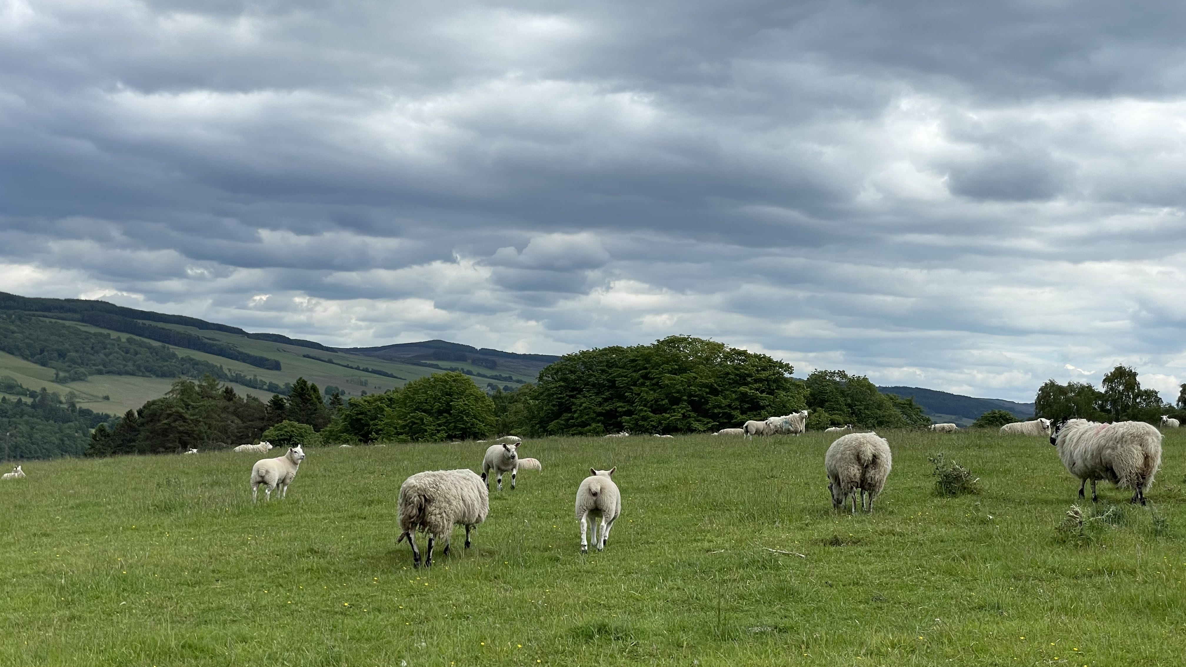 Hiking the Rob Roy Way, Scotland