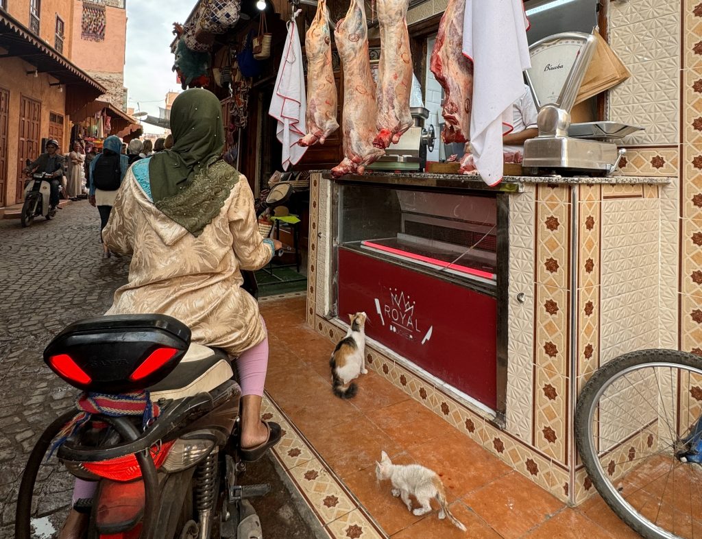 A woman on a scooter passing a butcher stall in Marrakech, Morocco, with two kittens waiting on the tiled floor – 2 Days in Marrakech travel blog.