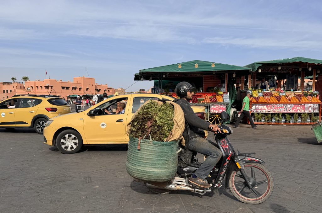 A man rides a motorbike loaded with a basket of herbs across Jemaa el-Fnaa square in Marrakech.