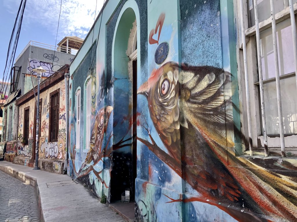 Large street mural of a bird painted on a turquoise wall in Valparaíso, Chile, seen during 4 days in Santiago.