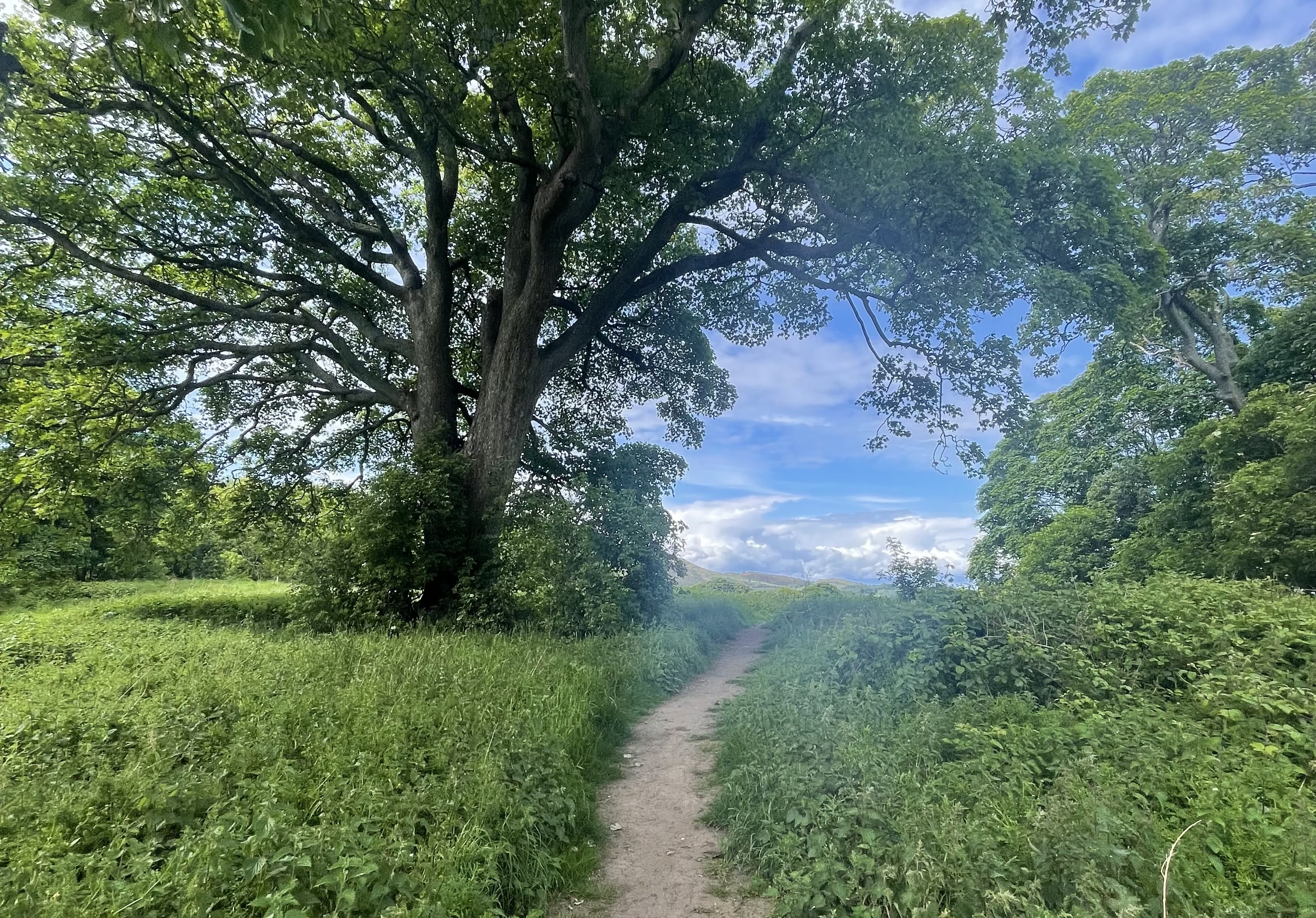 Shaded walking path through the greenery near Craigmillar Castle in Edinburgh.