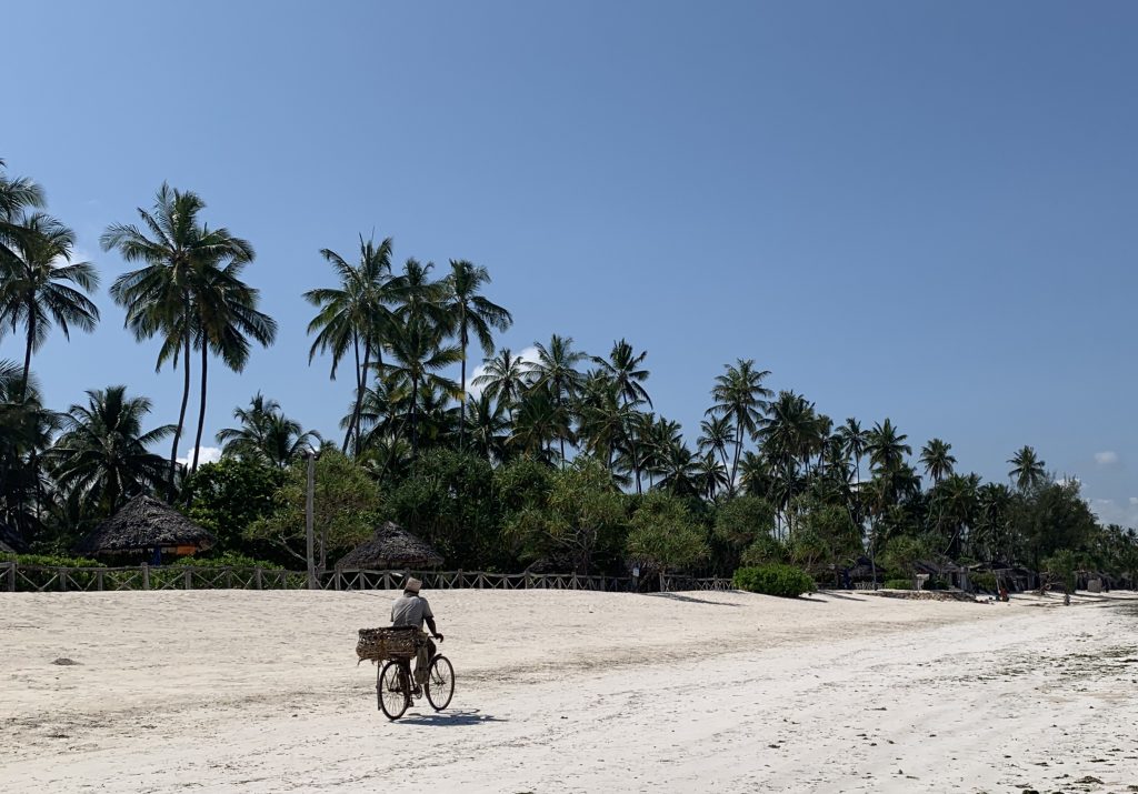 A man rides a bicycle along a quiet beach lined with palm trees and thatched huts under a clear blue sky in Zanzibar, Tanzania.