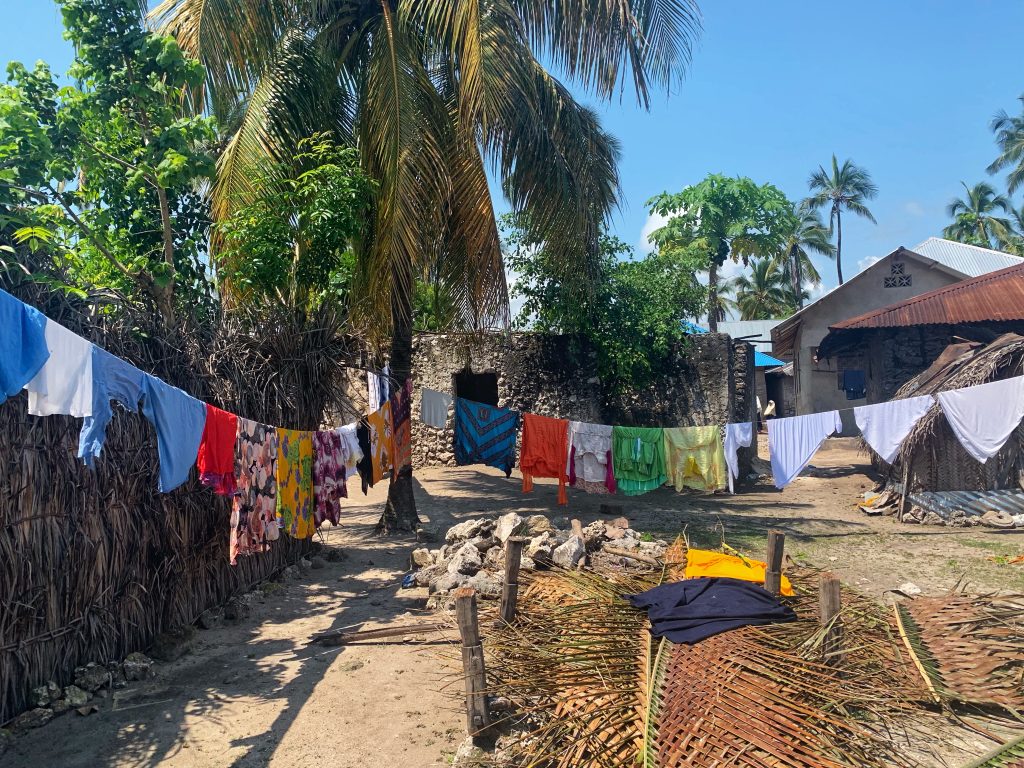 Clotheslines with colorful garments strung between palm trees and stone homes in a village in Zanzibar—3 Days in Zanzibar