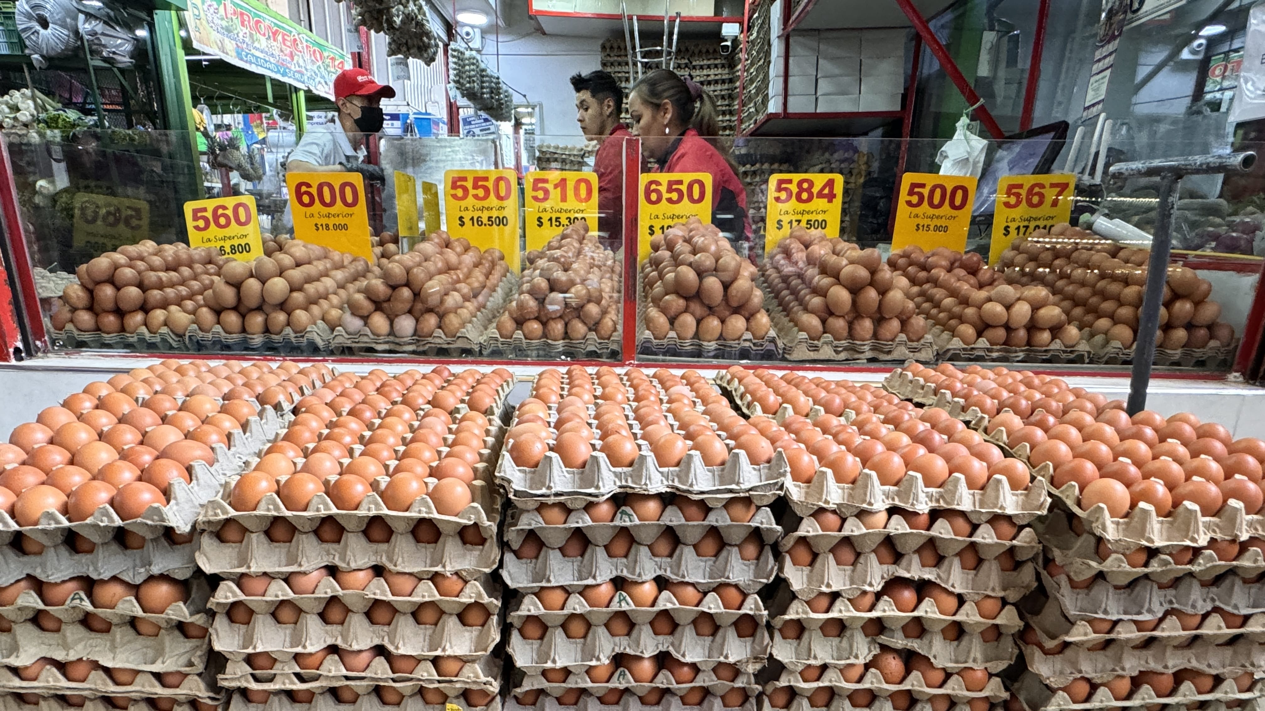 Egg vendor with hundreds of eggs stacked at Paloquemao Market, 2 days in Bogotá.
