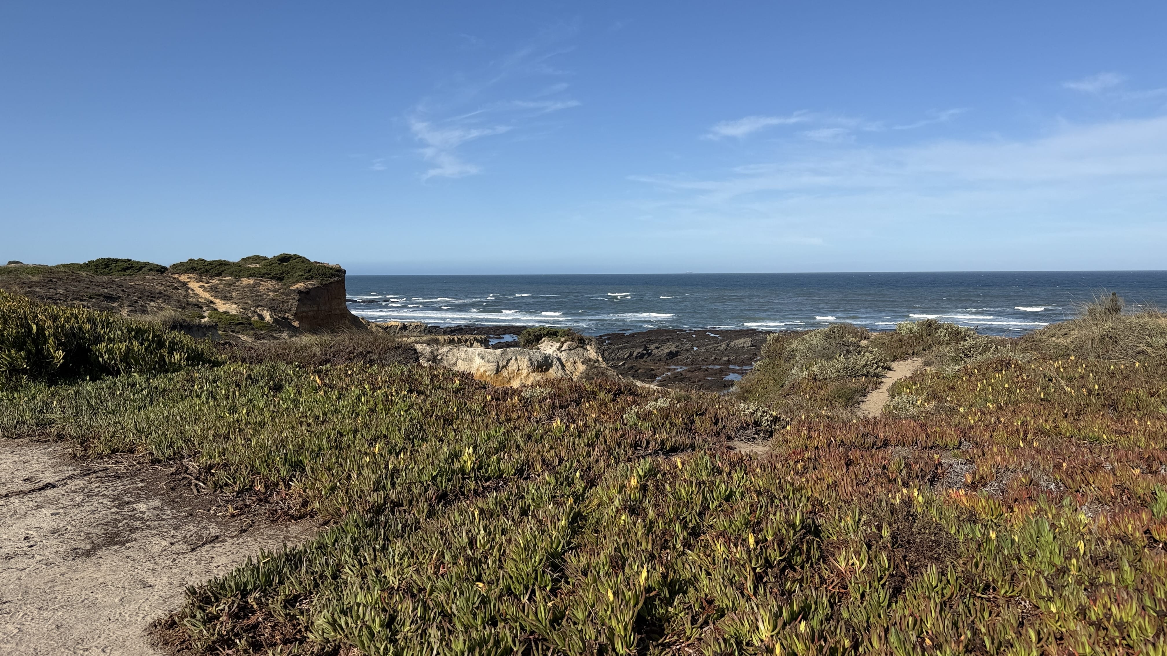 Coastal vegetation, including sour fig succulent, growing along the cliffs of the Fishermen’s Trail near Almograve, Portugal, with ocean waves below.
