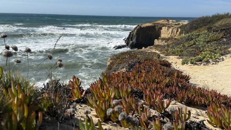 8 Days in Portugal: Hiking the Fishermen’s Trail (Rota Vicentina)