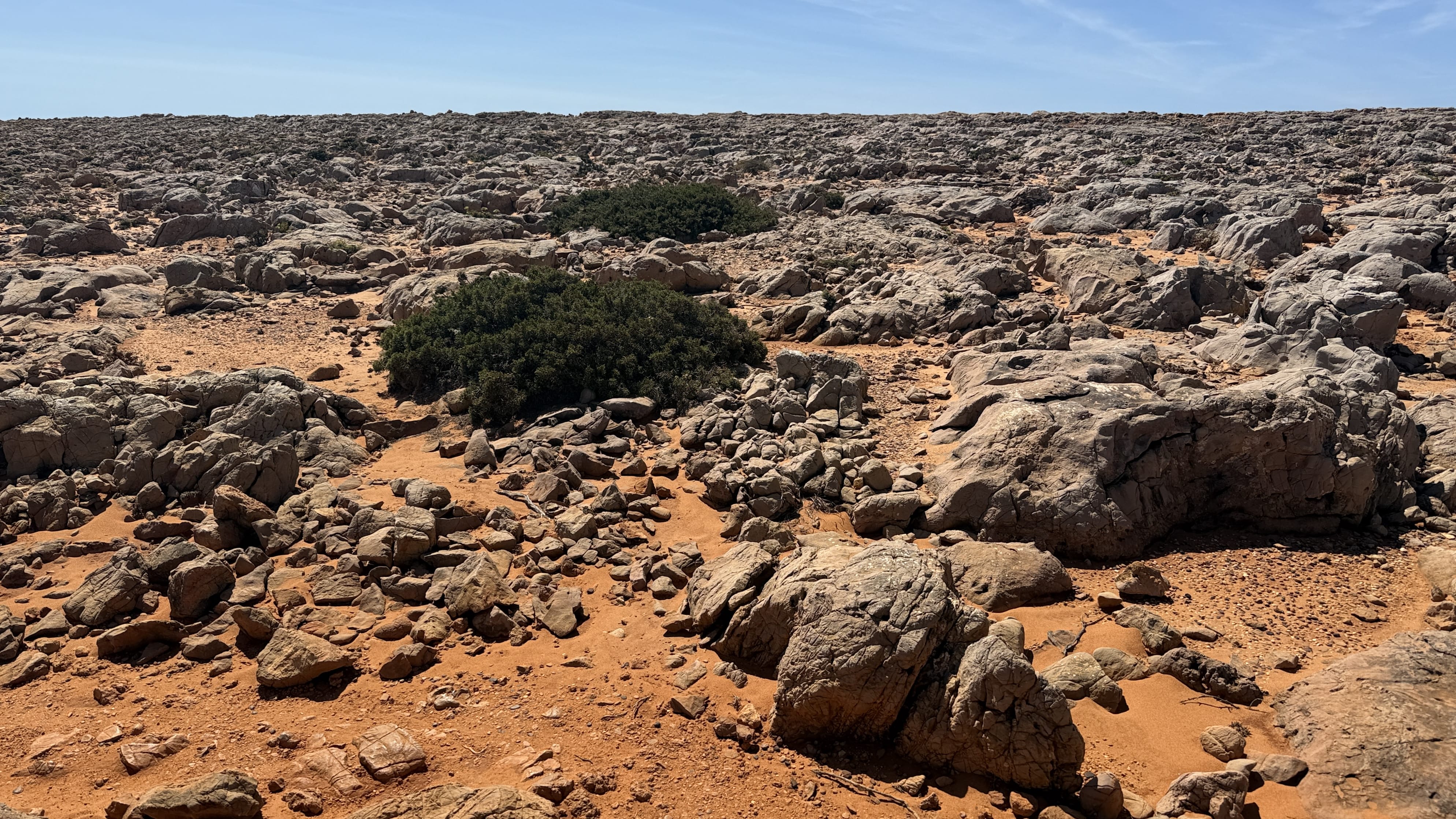 Rocky terrain with red earth and scattered scrub plants under a bright sky.