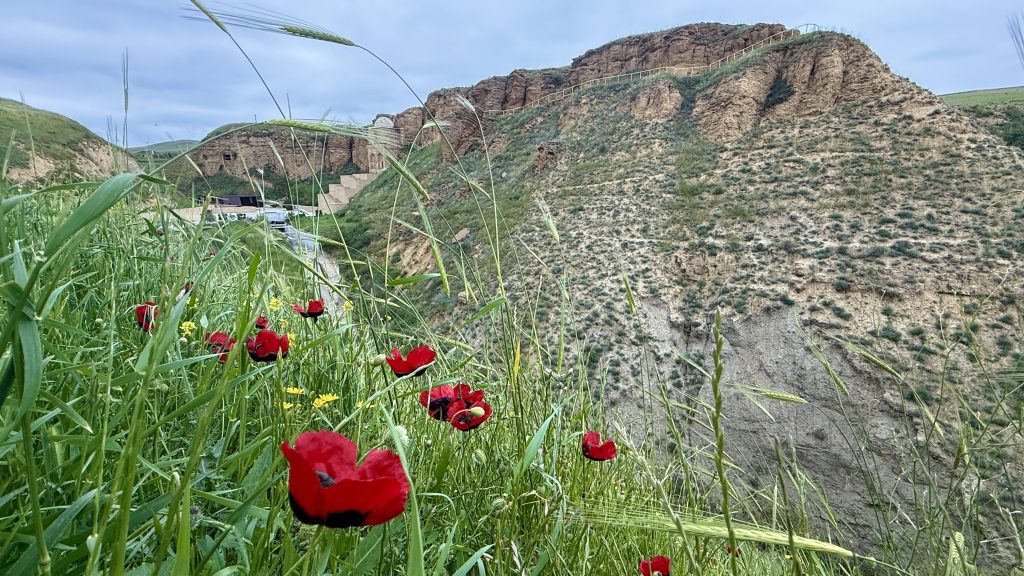7 Days in Azerbaijan
