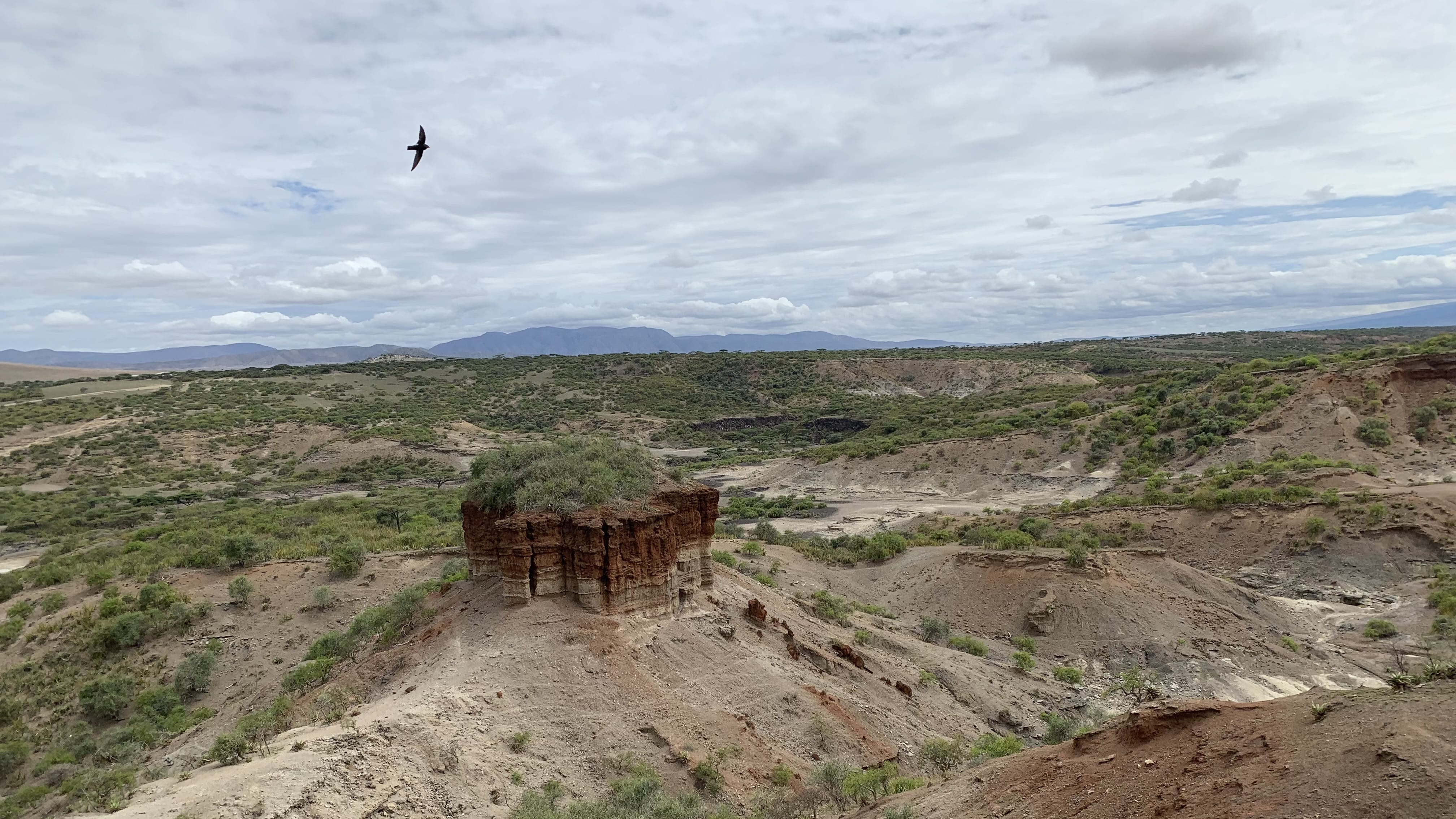 Eroded cliff and a flat-topped rock formation at Olduvai Gorge, Tanzania in Ngorongor Conservation area.