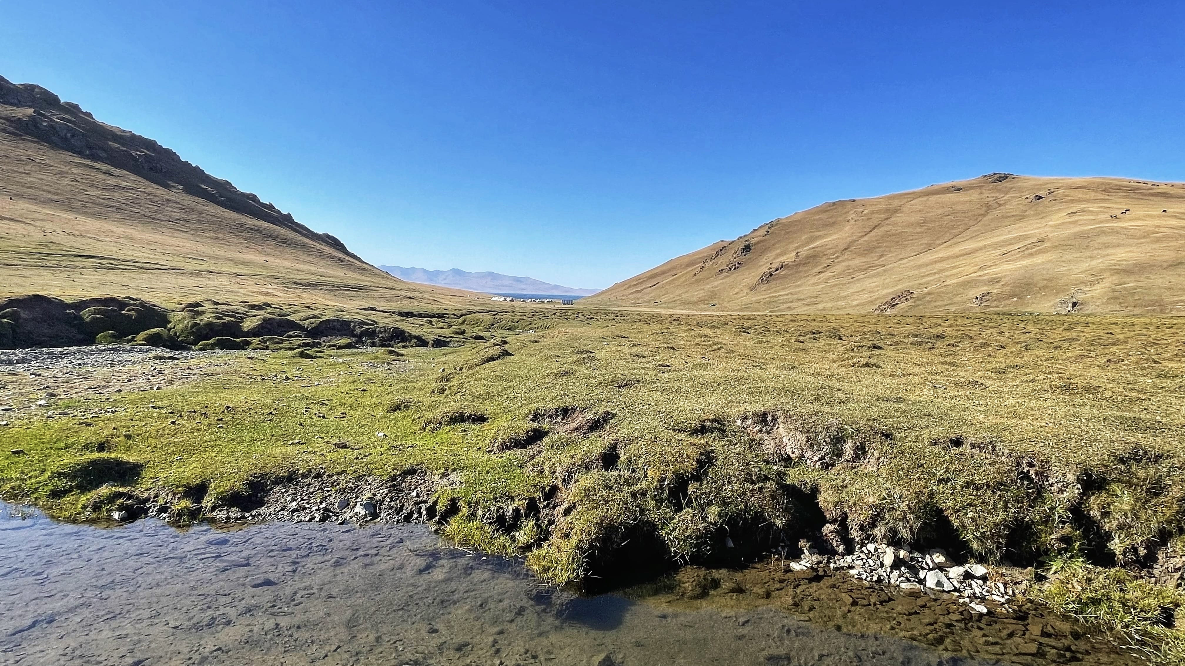 Small stream running through alpine meadow near Song Kol Lake, Kyrgyzstan, surrounded by rolling hills and wide open pasture