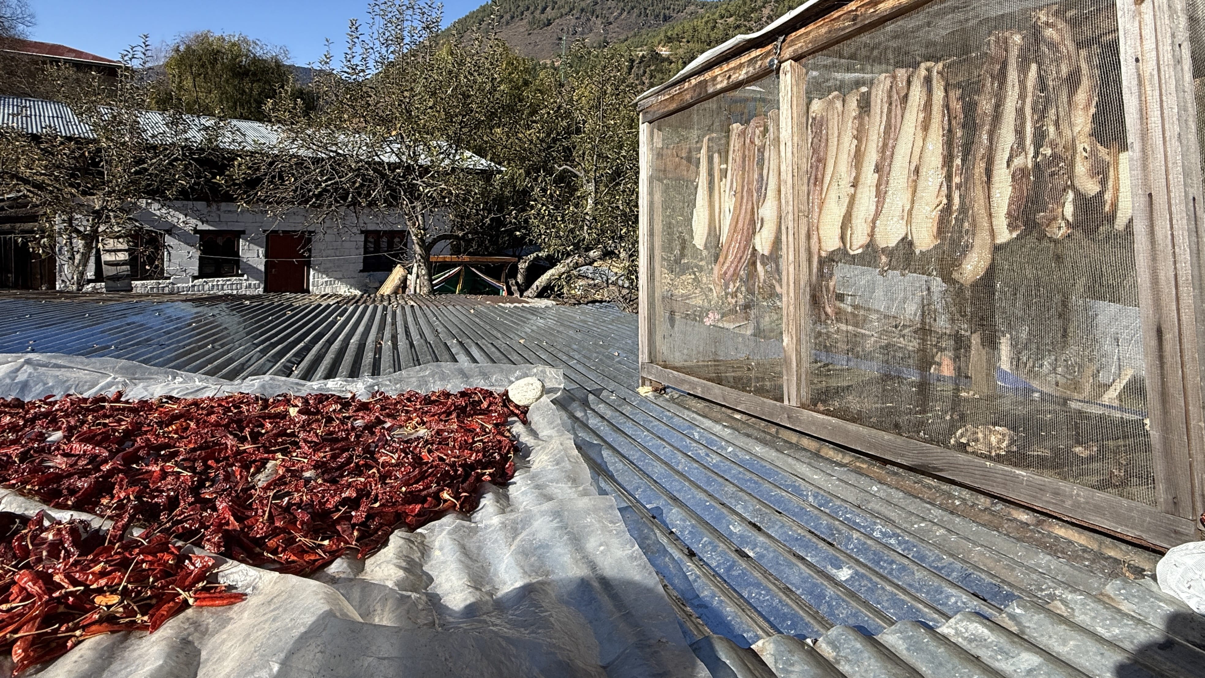 Eating in Bhutan: red chilies drying on a rooftop and strips of pork air-drying in a screened wooden box at a rural Haa Valley homestay.