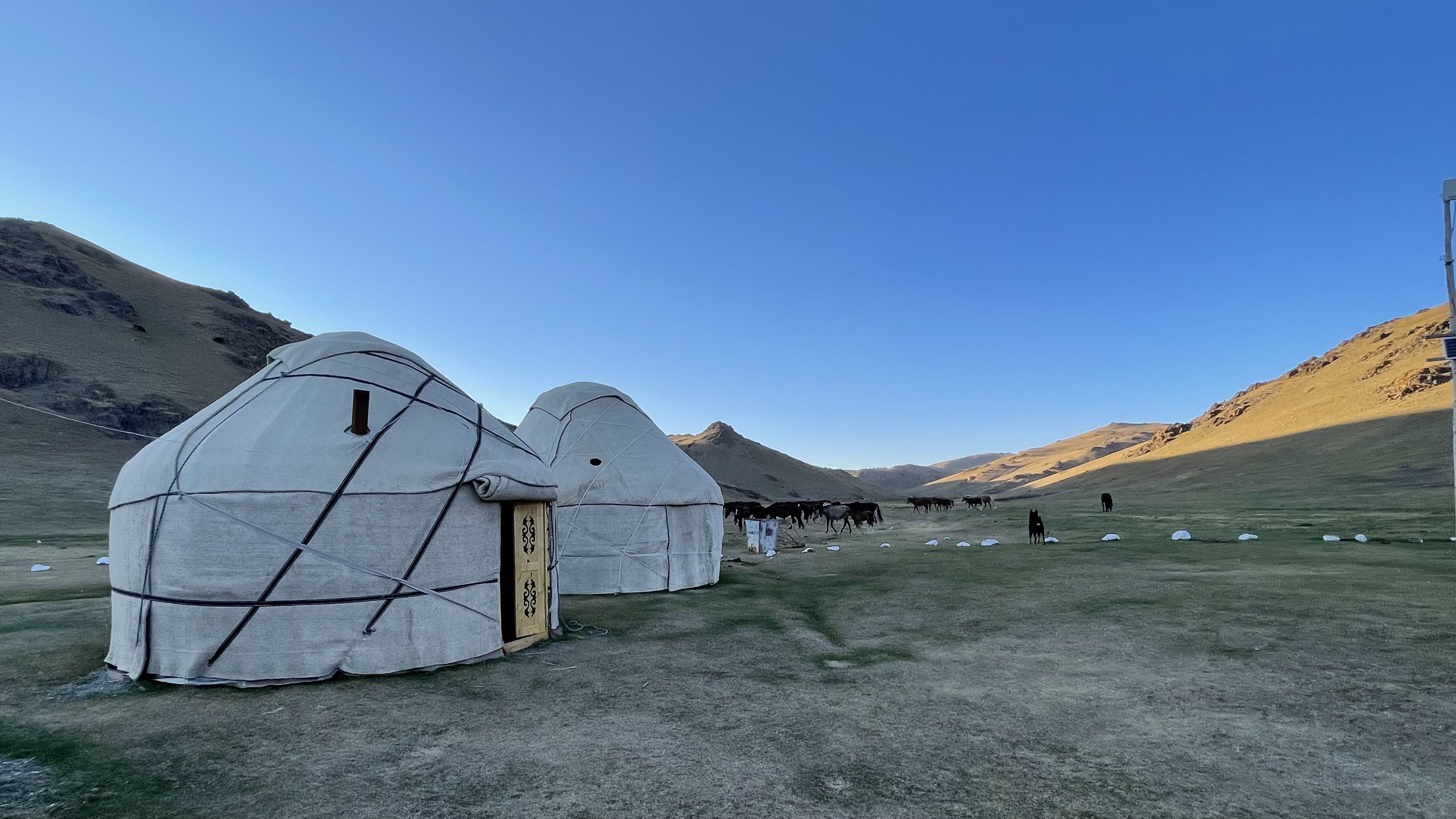 Yurts at Song Kol Lake Yurt Camp with horses and livestock grazing nearby on the jailoo, the high summer pasture of central Kyrgyzstan