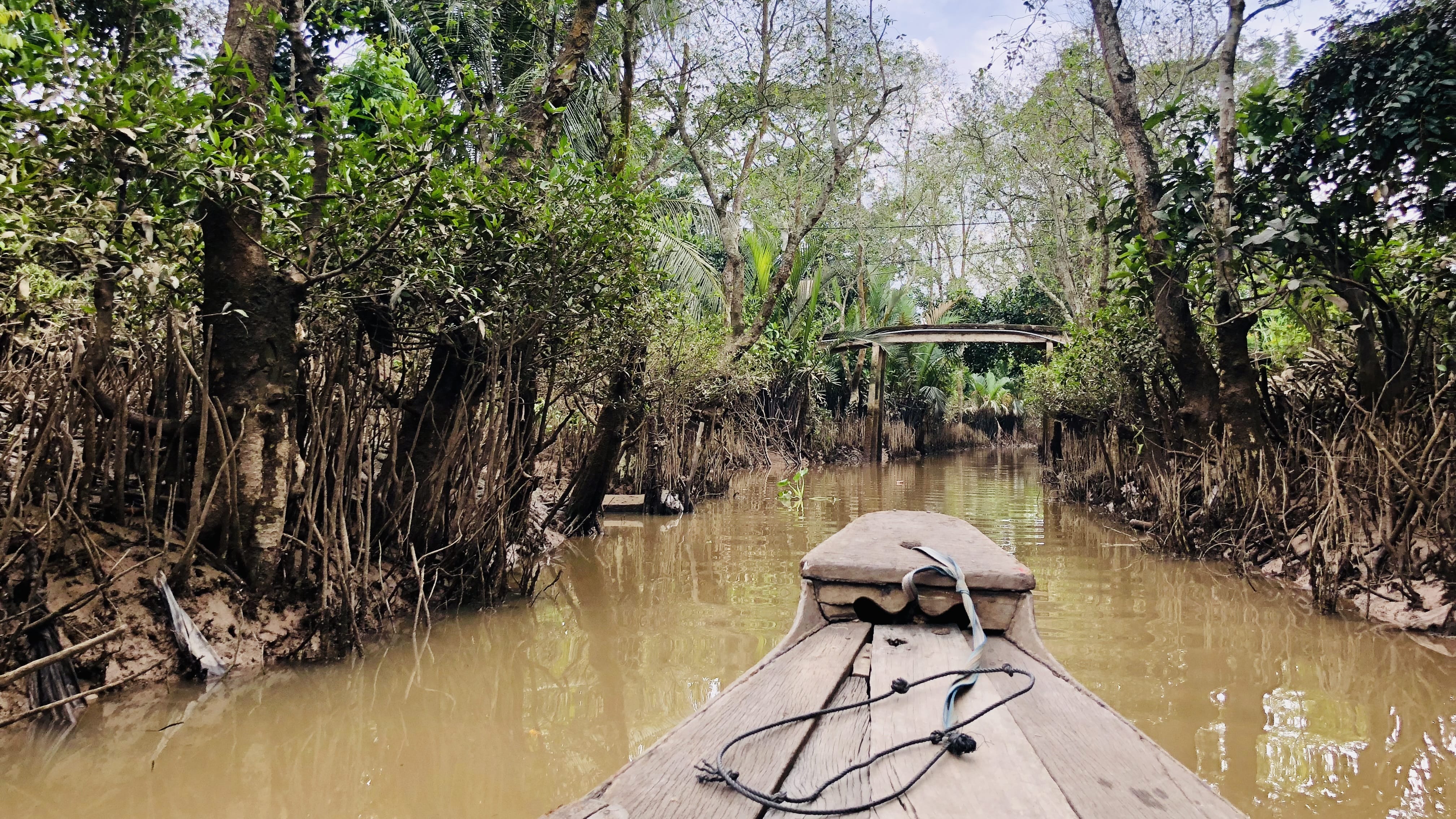 Small wooden boat moving through a narrow mangrove canal in the Mekong Delta during six days in Vietnam