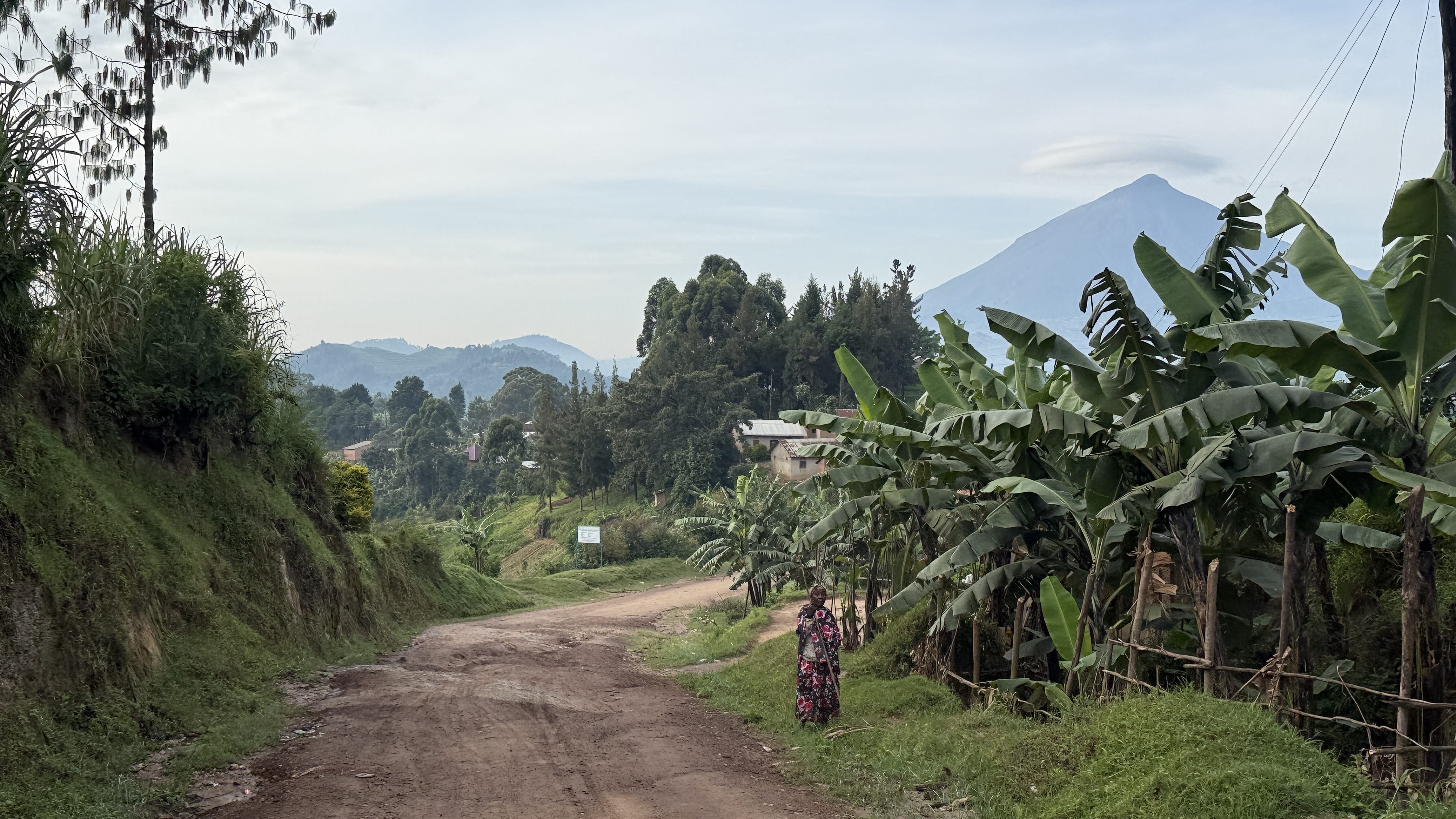 Rural dirt road in southwestern Uganda with banana trees and volcanic mountain in the distance