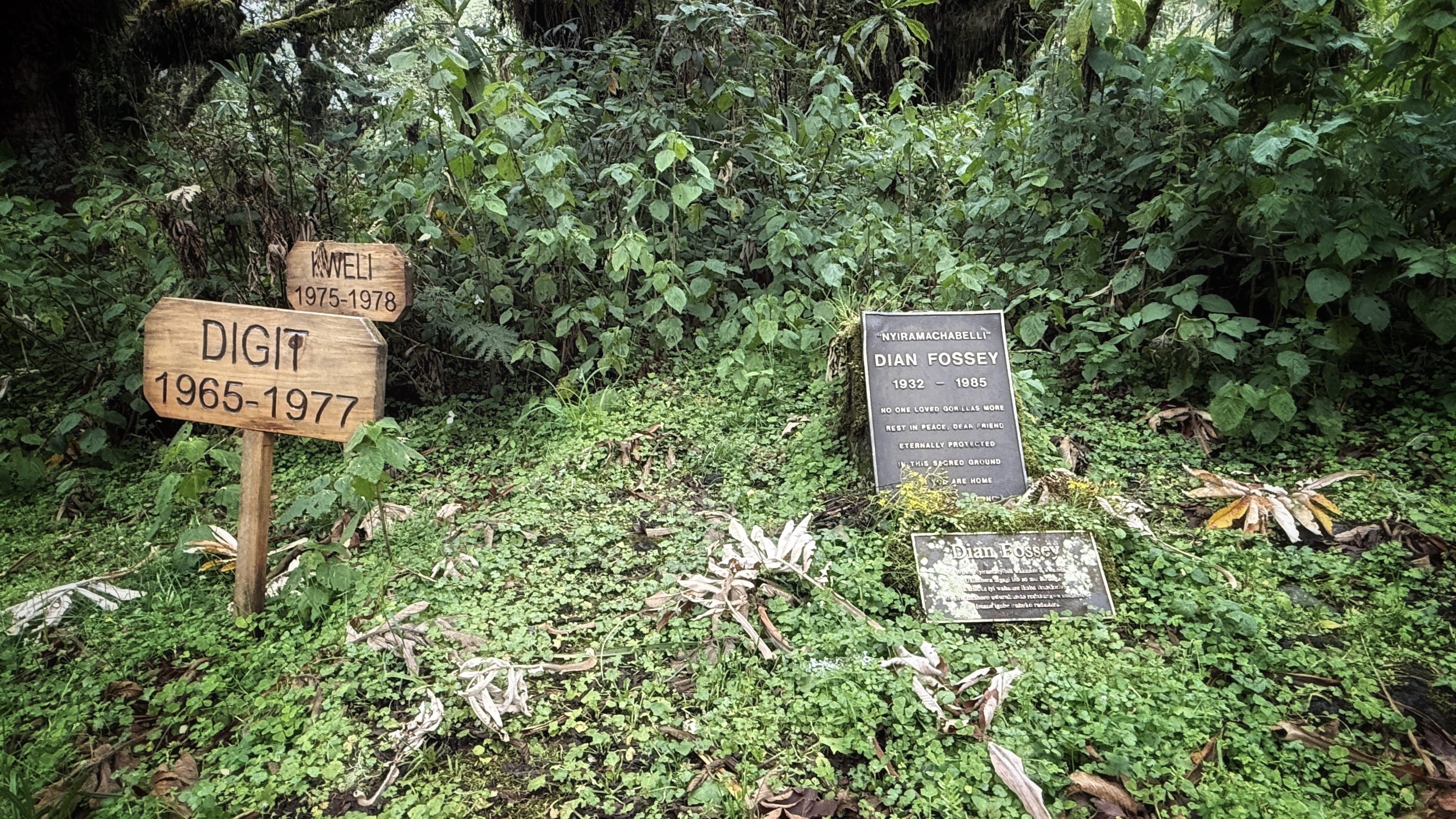 Grave of Dian Fossey beside Digit the gorilla at Karisoke Research Camp in Volcanoes National Park, Rwanda.