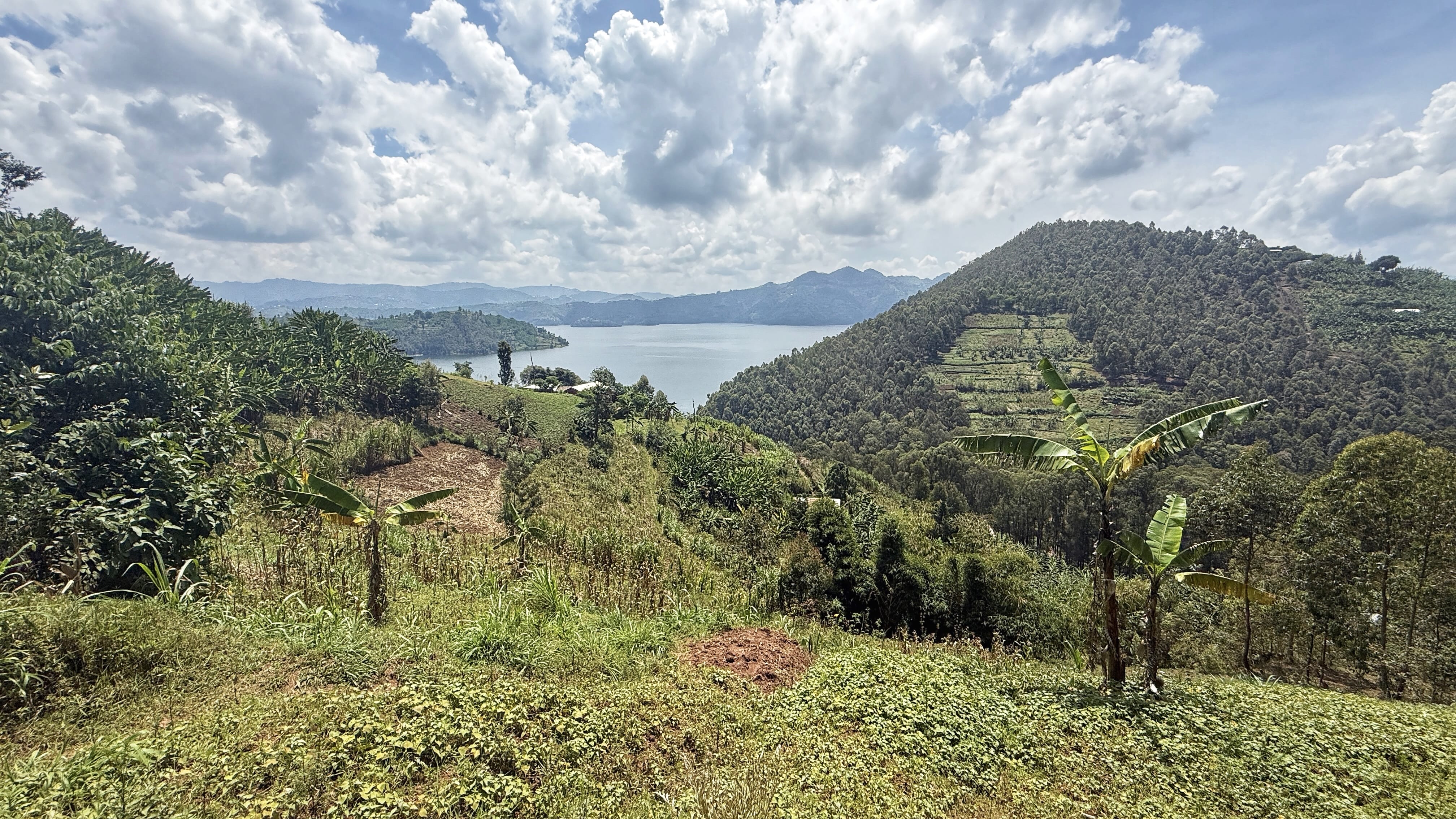 Banana trees and terraced farmland overlooking Lake Burera and Lake Ruhondo near Musanze, Rwanda.