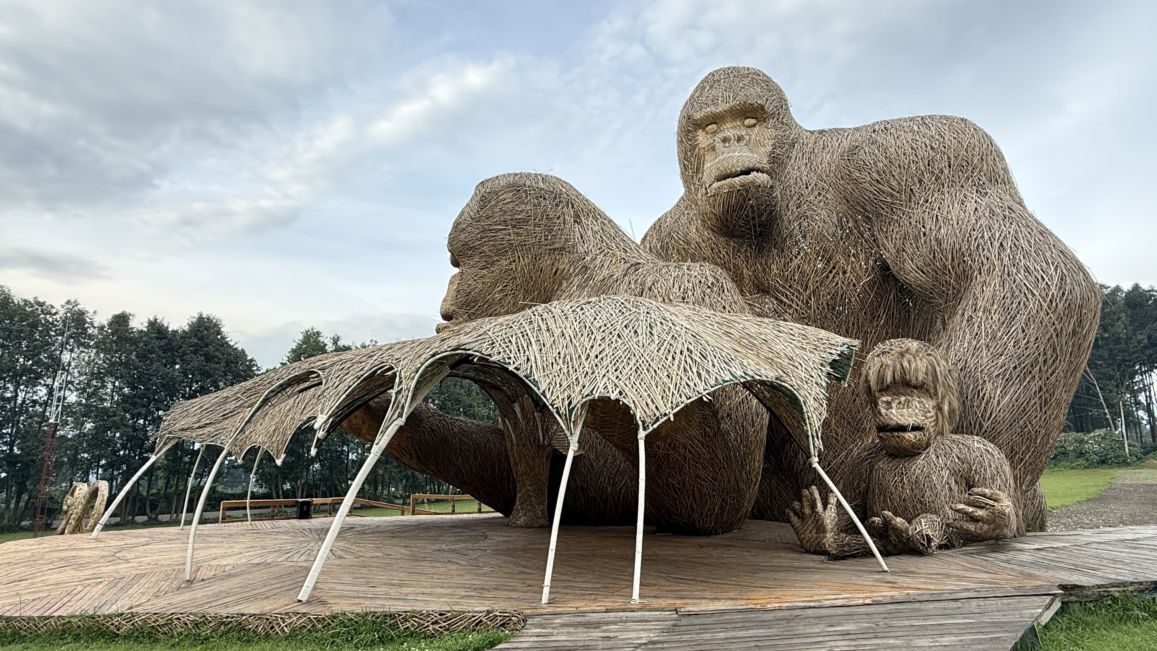 Large woven gorilla sculptures used for the Kwita Izina ceremony near Volcanoes National Park in Rwanda.