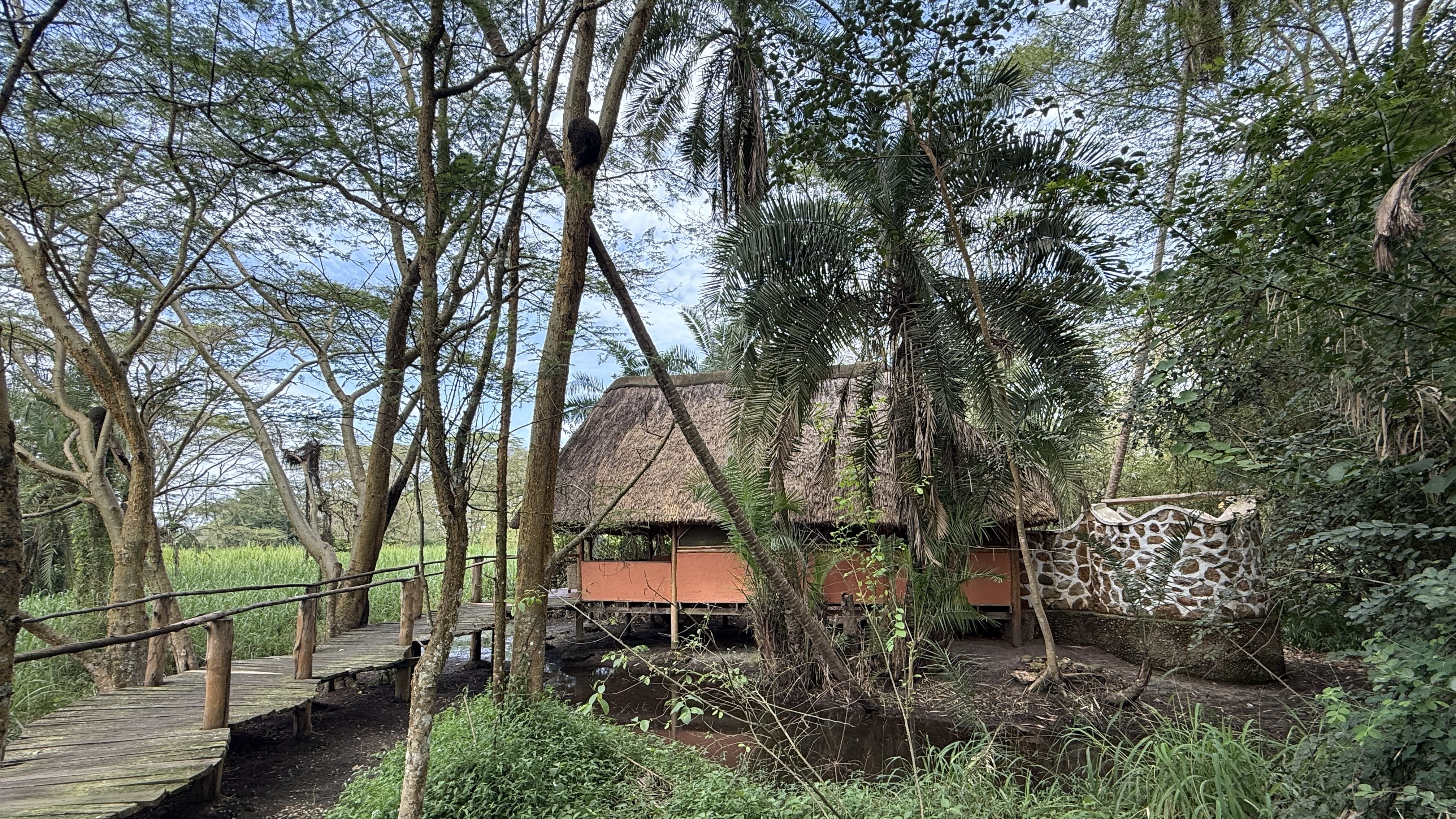 Thatched safari lodge on wooden boardwalk near water in Queen Elizabeth National Park, Uganda
