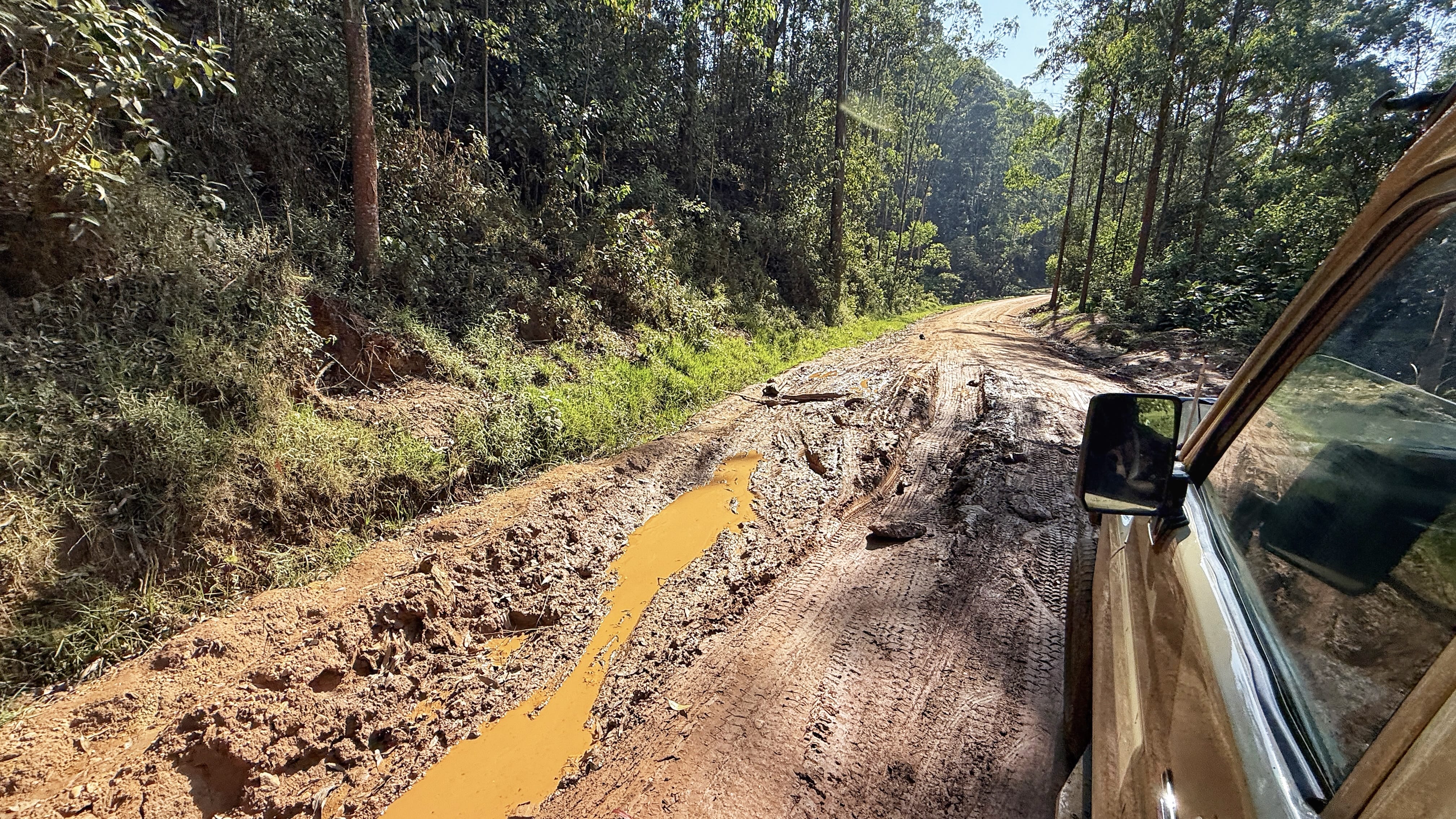 Muddy dirt road in southwestern Uganda seen from safari vehicle during gorilla trekking journey
