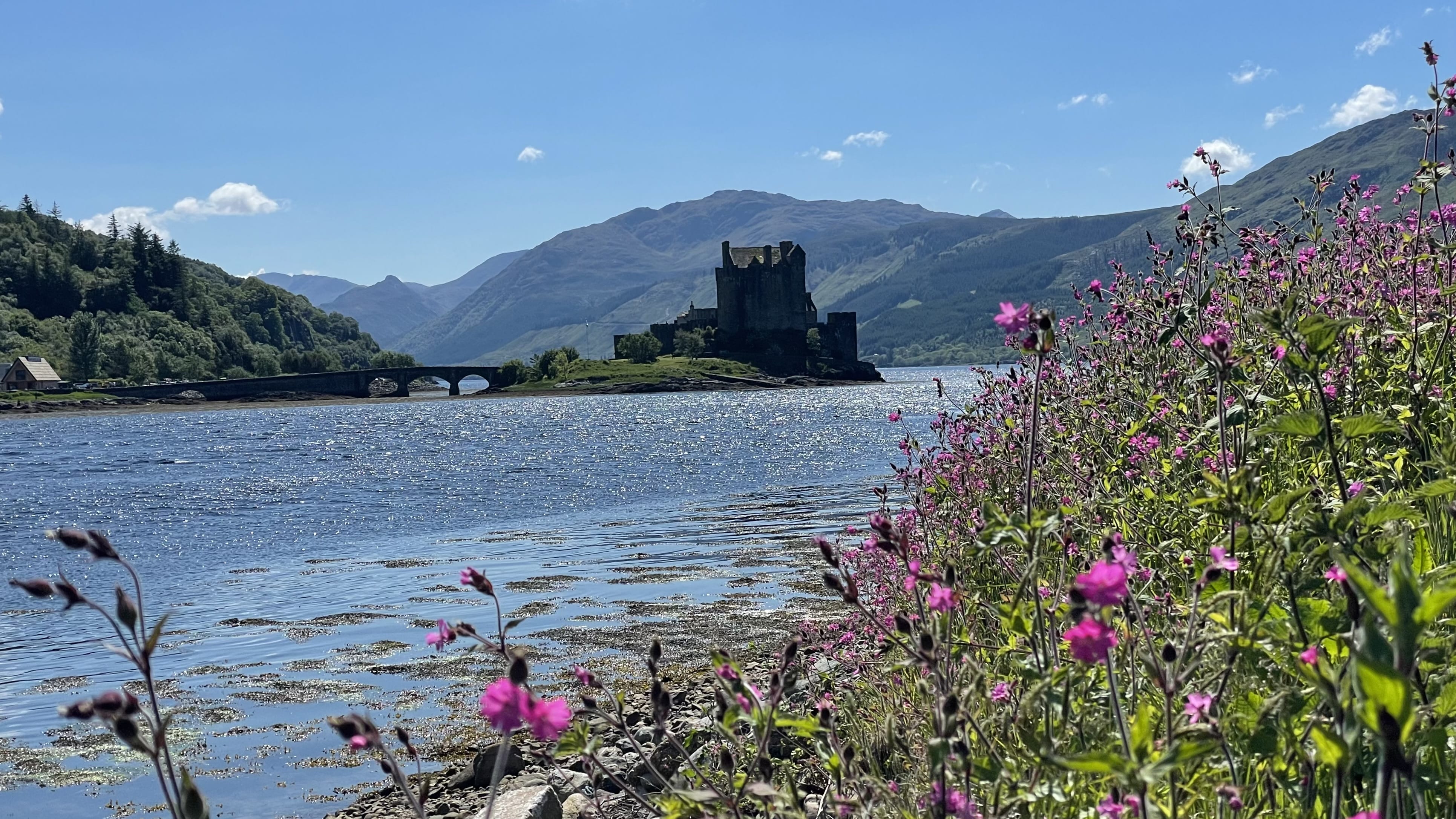 Urquhart Castle on Loch Ness in the Scottish Highlands with wildflowers in the foreground
