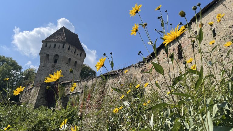 10 Days in Romania: Sighișoara, Sibiu & More of Transylvania (Part 2)