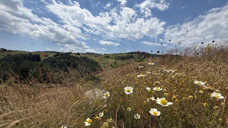 Hiking Bulgaria’s Rhodope Mountains: A Week on the Trails